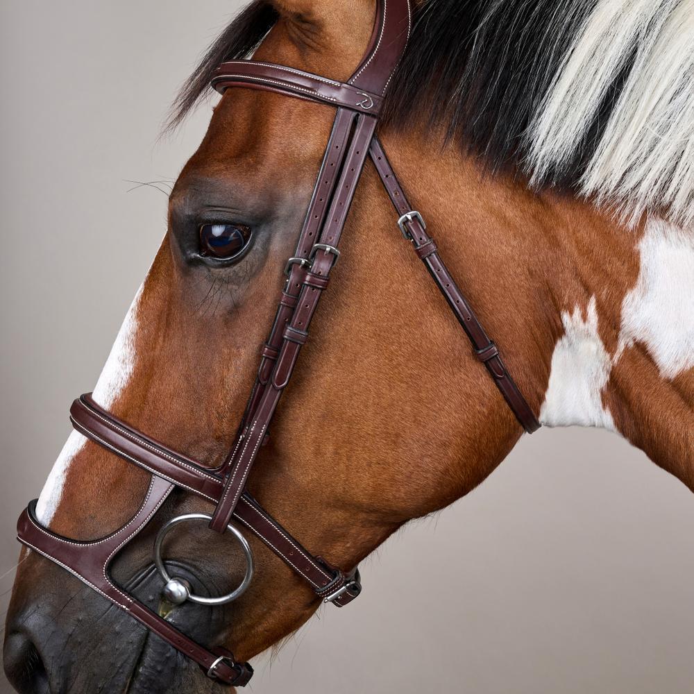 Trense mit Doppelreithalfter US