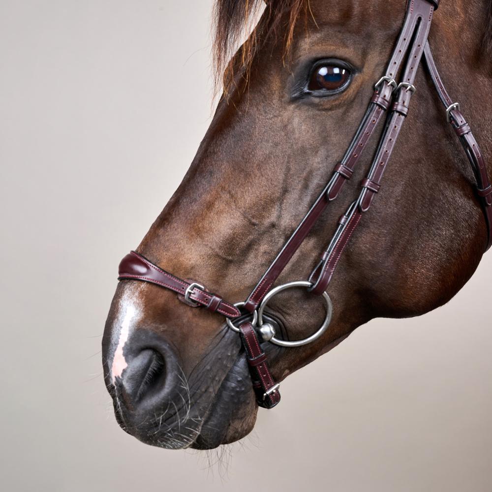 Trense mit verstellbarem hannoverschem Reithalfter NE