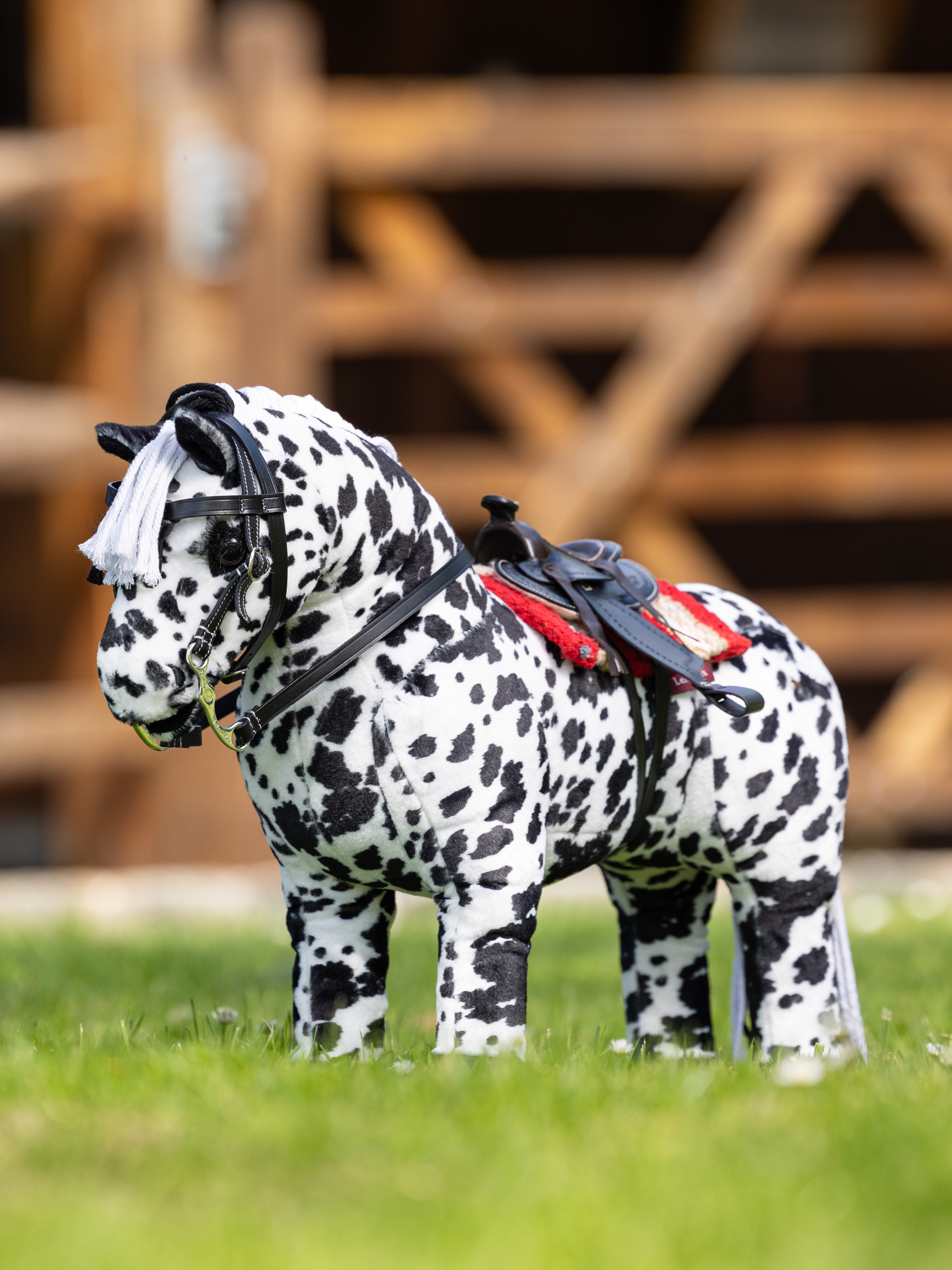 Toy Pony filet western