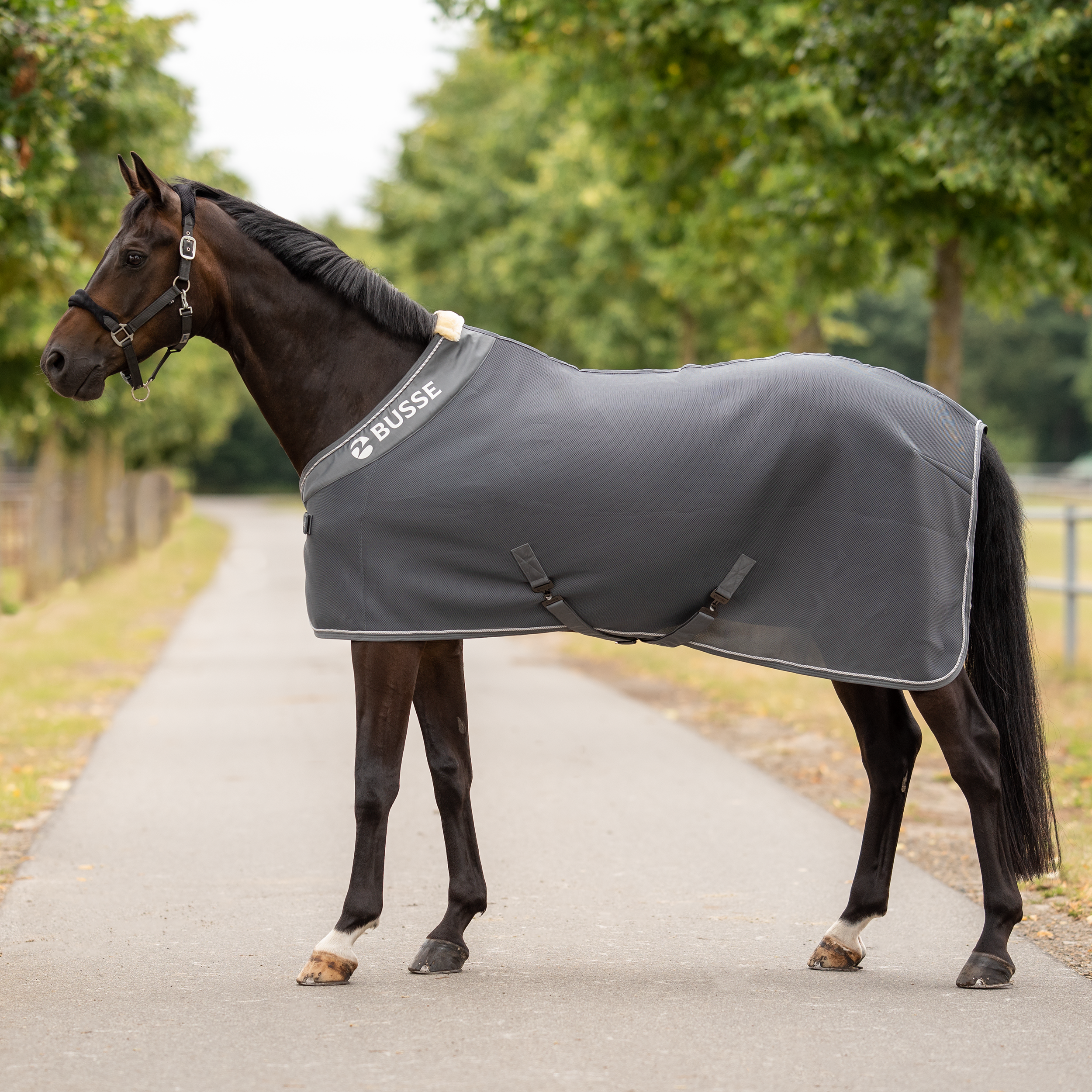 3D Air Premium sweat rug