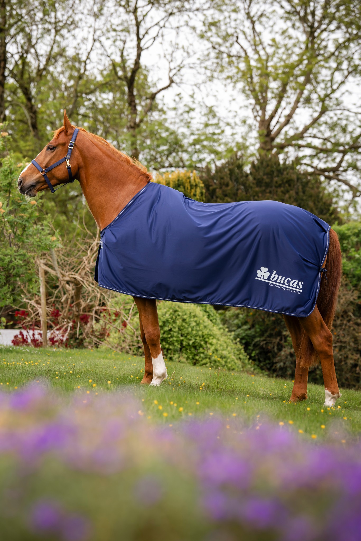 Abschwitzdecke Power Prize Cooler in Navy/Silver Logo