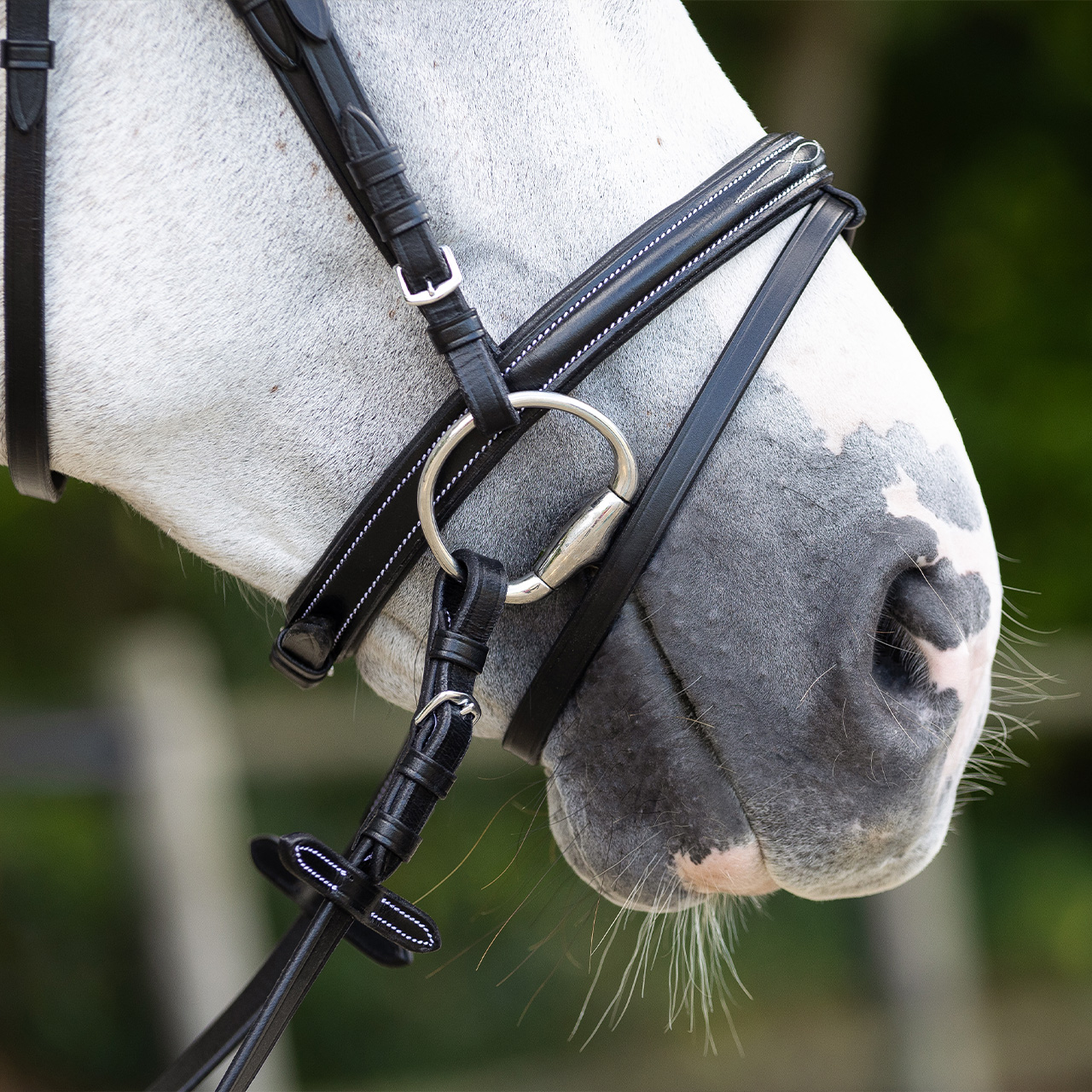 Snaffle with luxury stitching