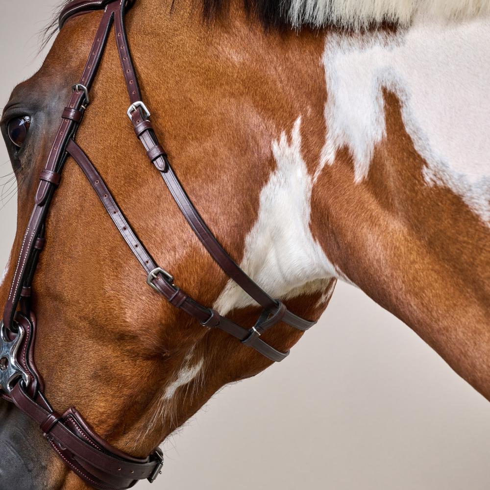 Hackamore-Zaum US