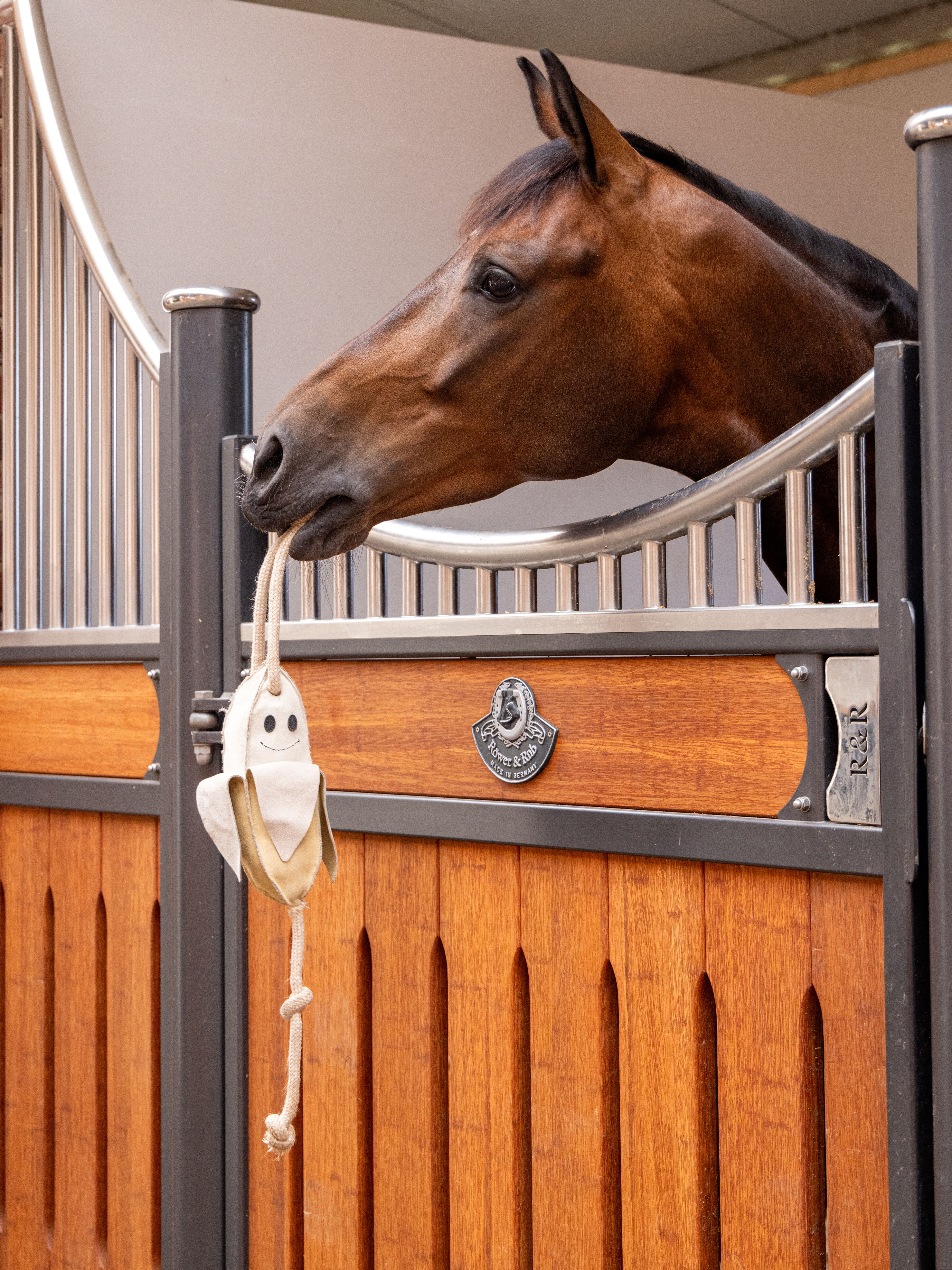 Speelgoed-banaan voor paarden