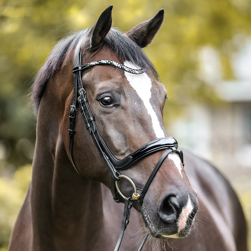 Ivana" patent snaffle narrow-comb.