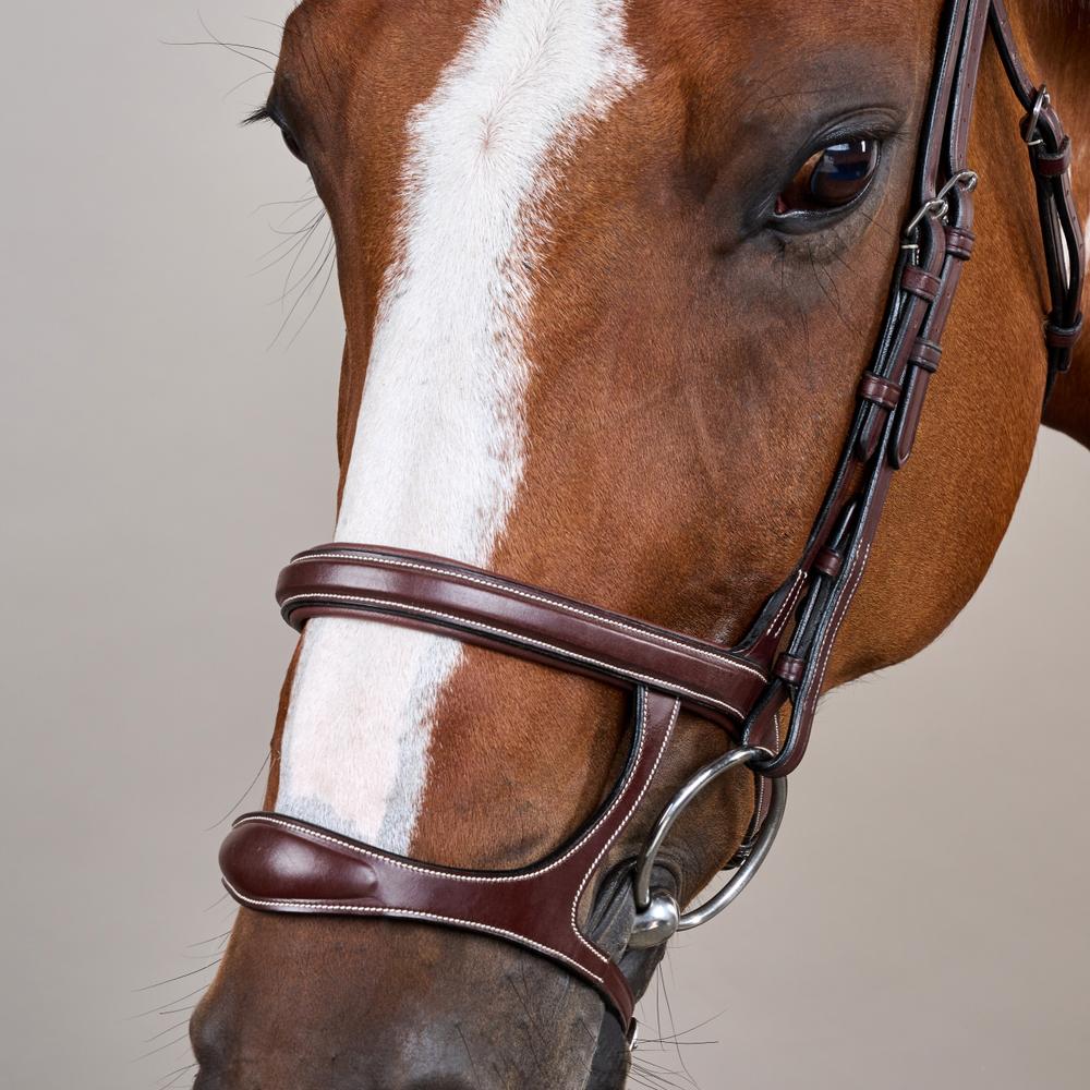 Trense mit Doppelreithalfter US