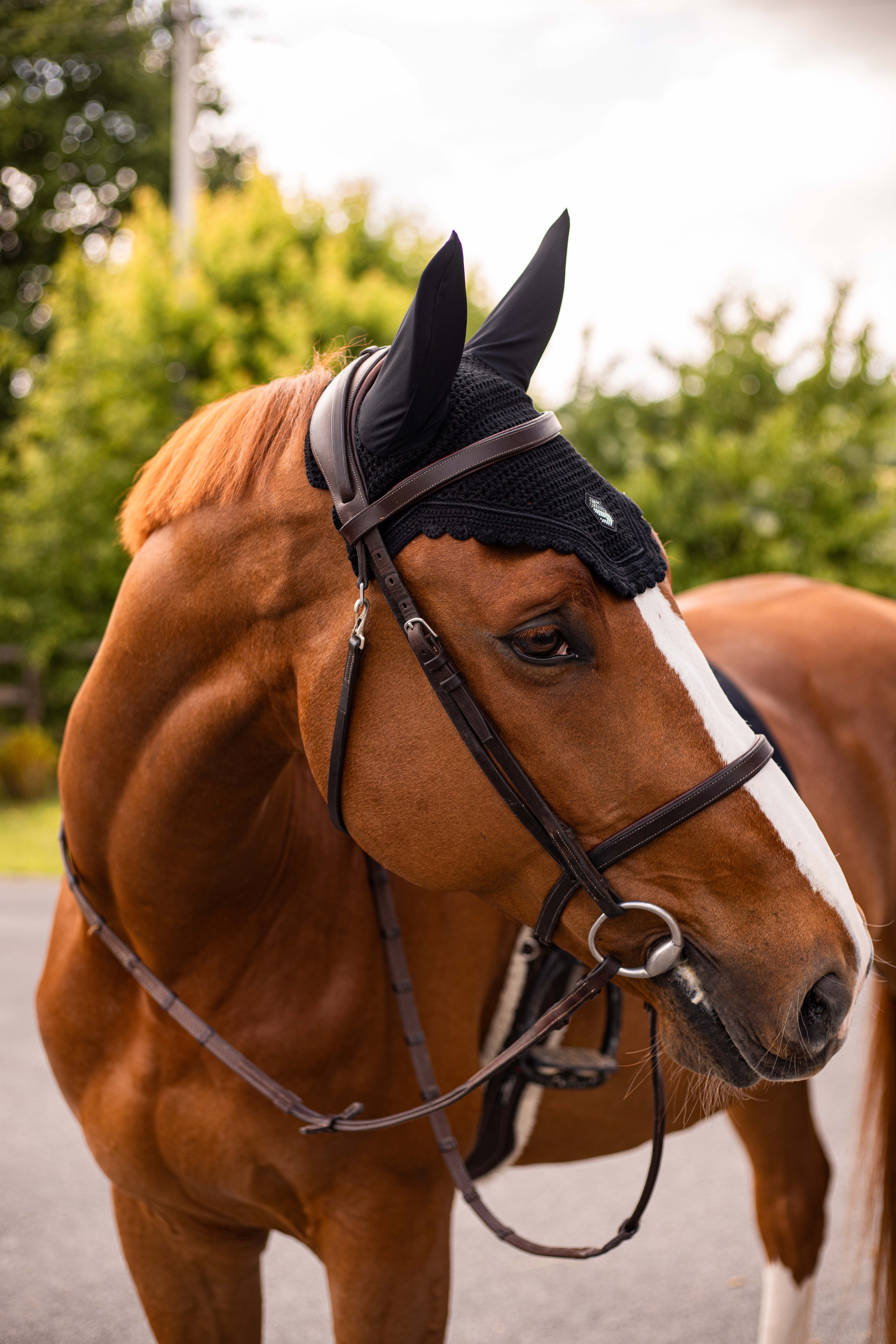 Fliegenohren Swarovski