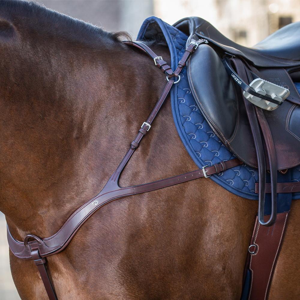 Anatomisches Vorderzeug