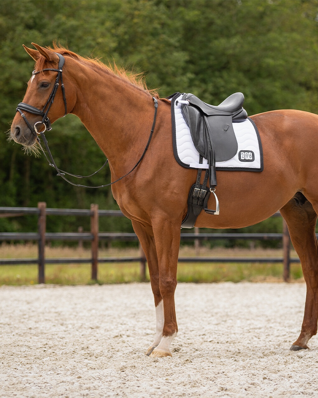 Saddle pad with start numbers