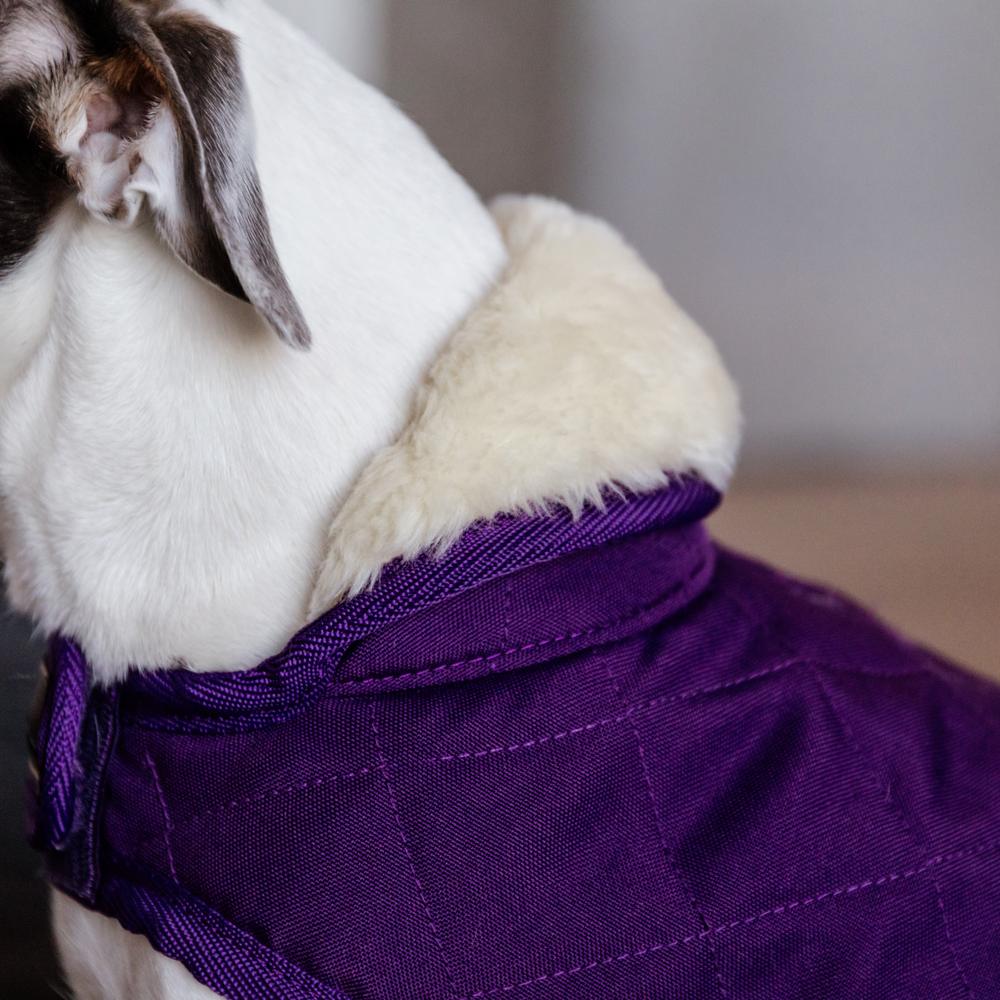 Hundemäntel Original