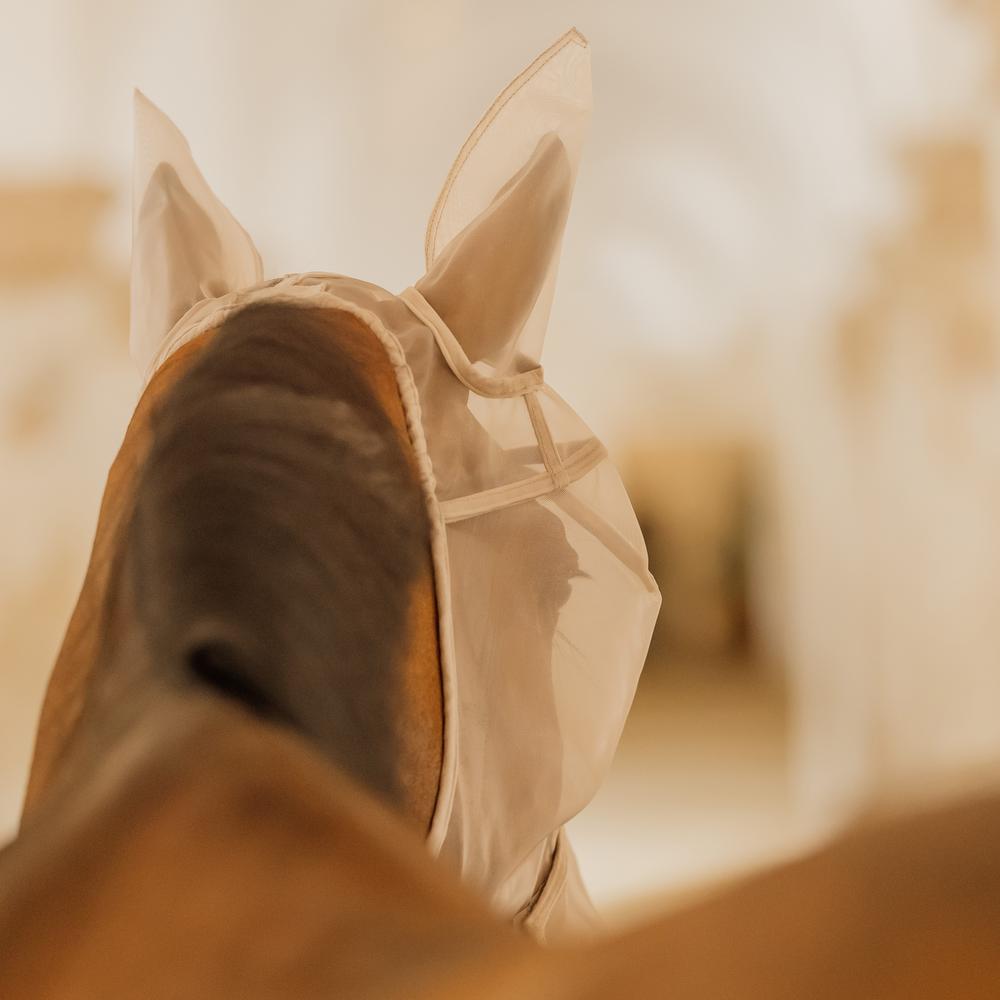 Classic fly mask with ears and nose