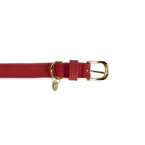 Vegan leather leash