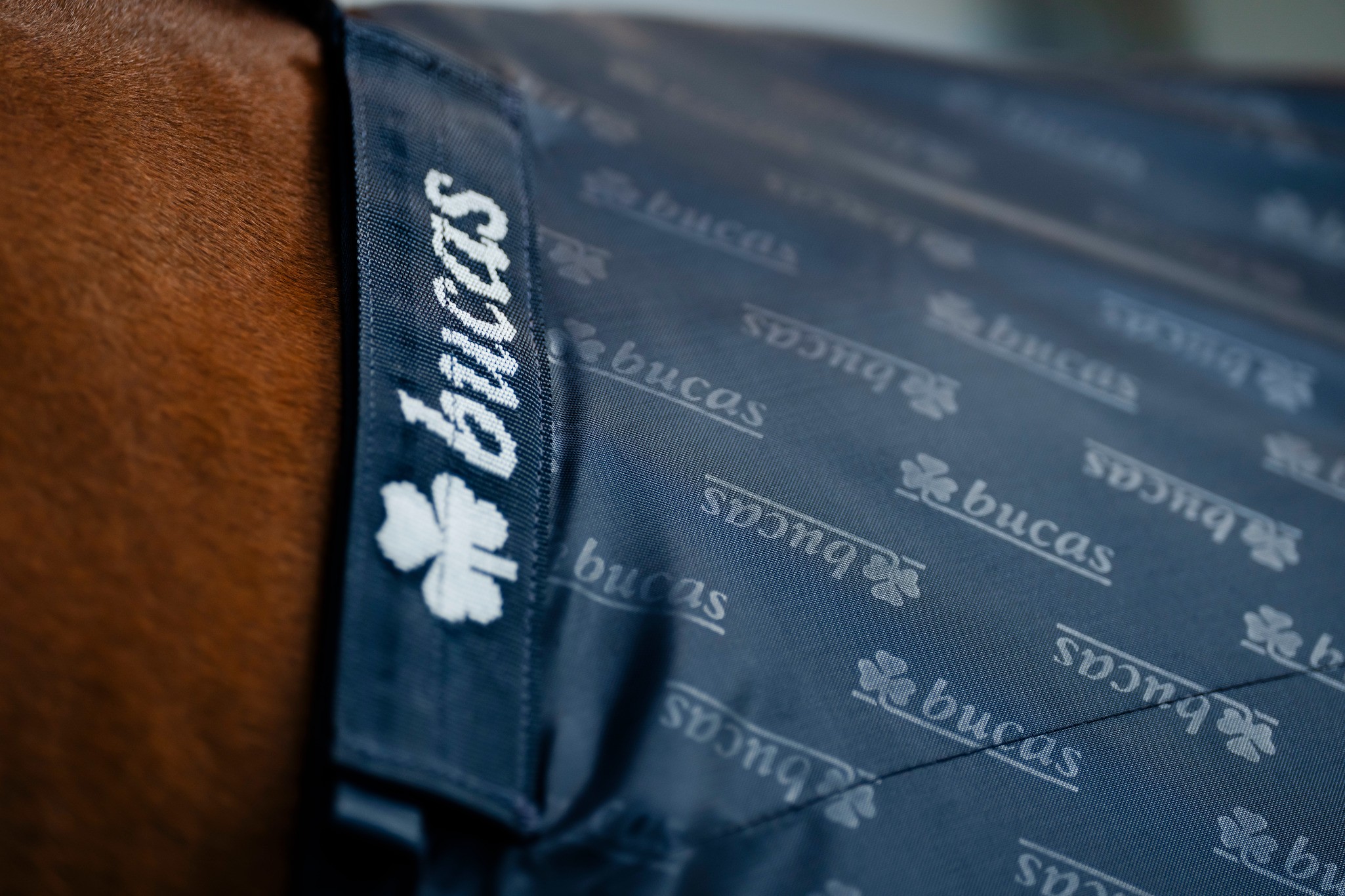 Stalldecke Stable Sheet in Navy/Navy