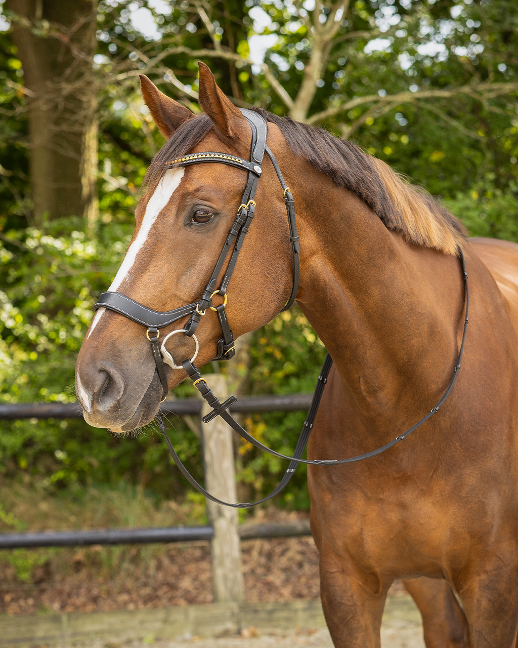 Snaffle Devi