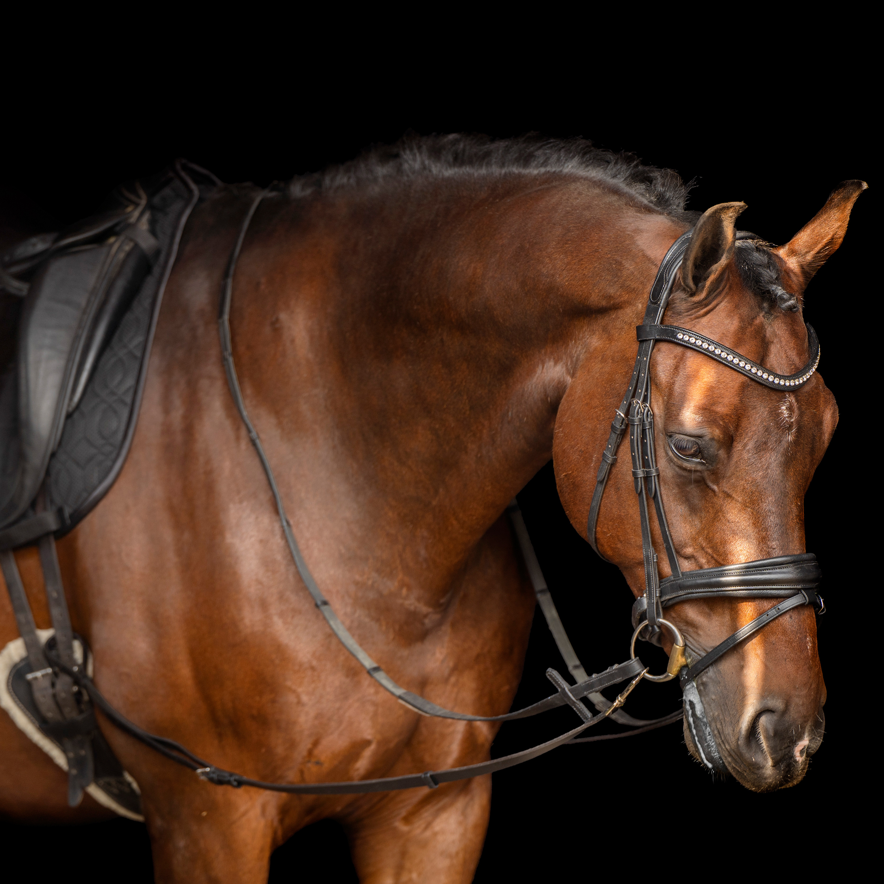 Ausbinder Leder Core