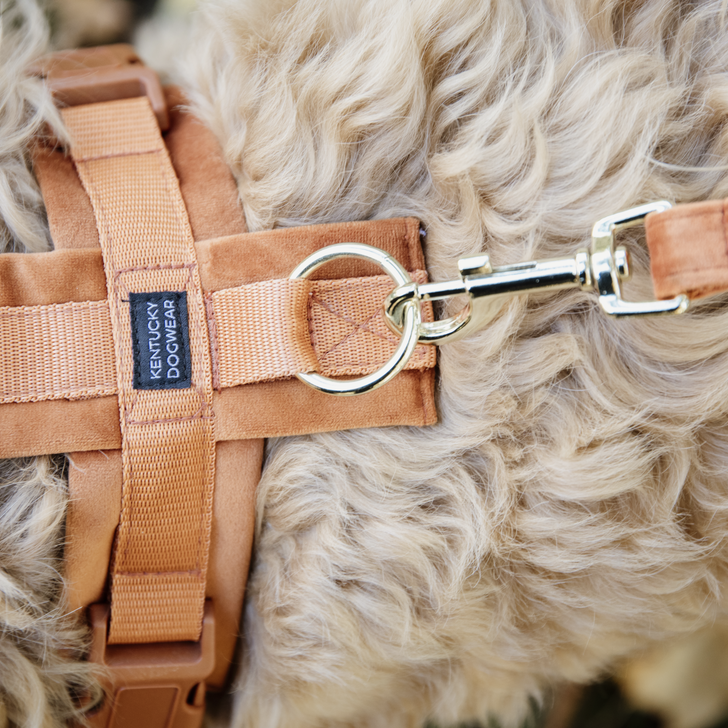 Active Velvet dog harness