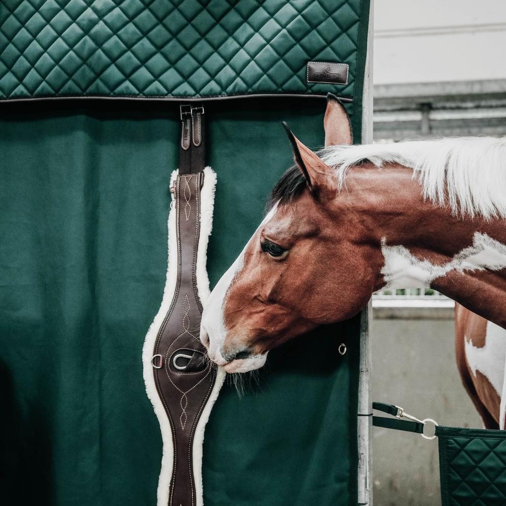 Waterproof stable curtain