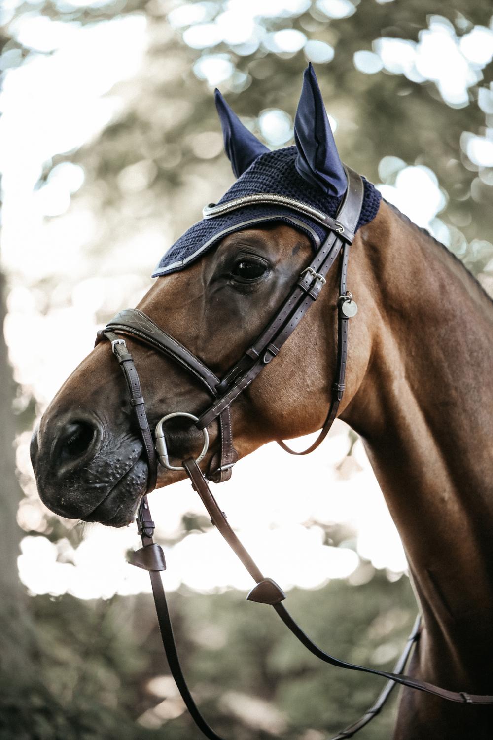 Fliegenhaube Wellington Leather