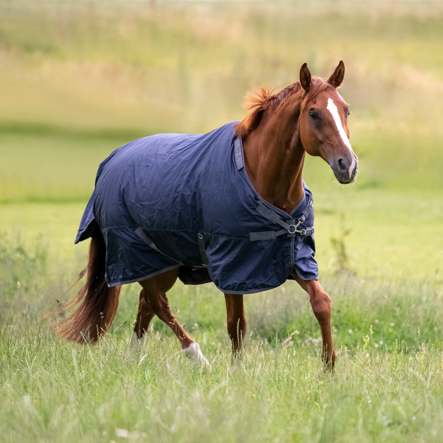 Outdoor blanket Flexible Pro 100