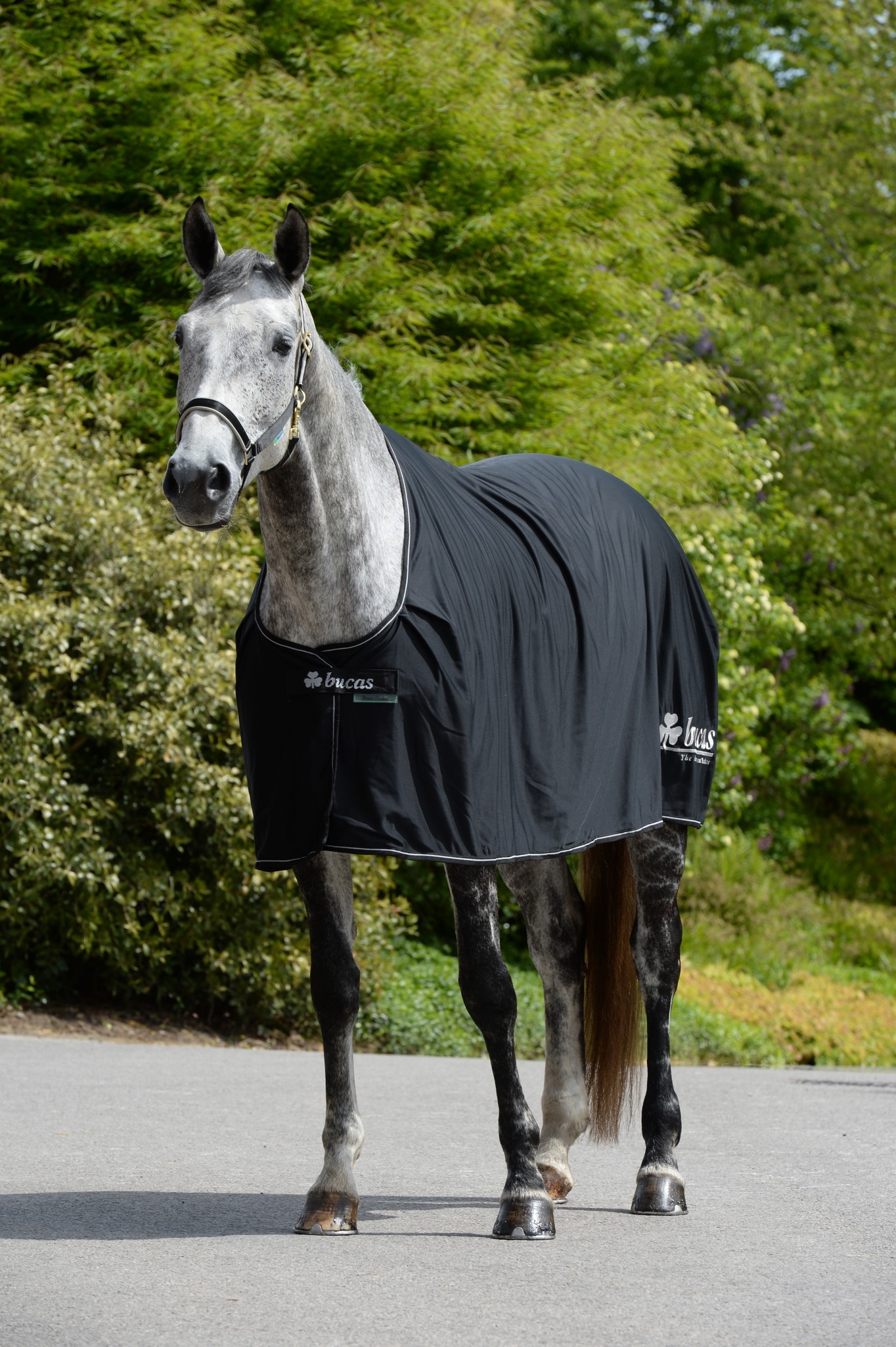 Abschwitzdecke Power Prize Cooler in Black/Silver Logo