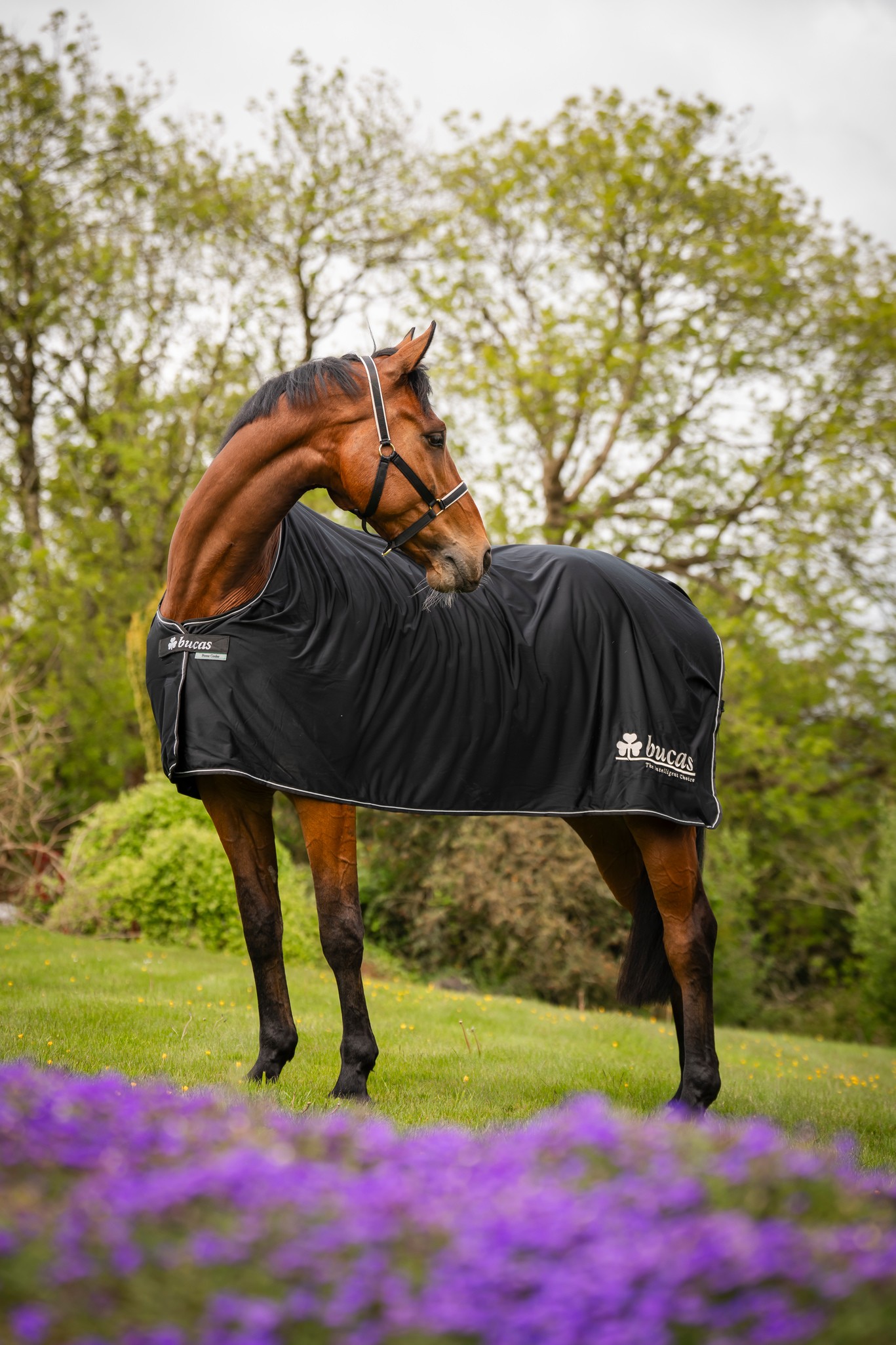 Abschwitzdecke Power Prize Cooler in Black/Silver Logo