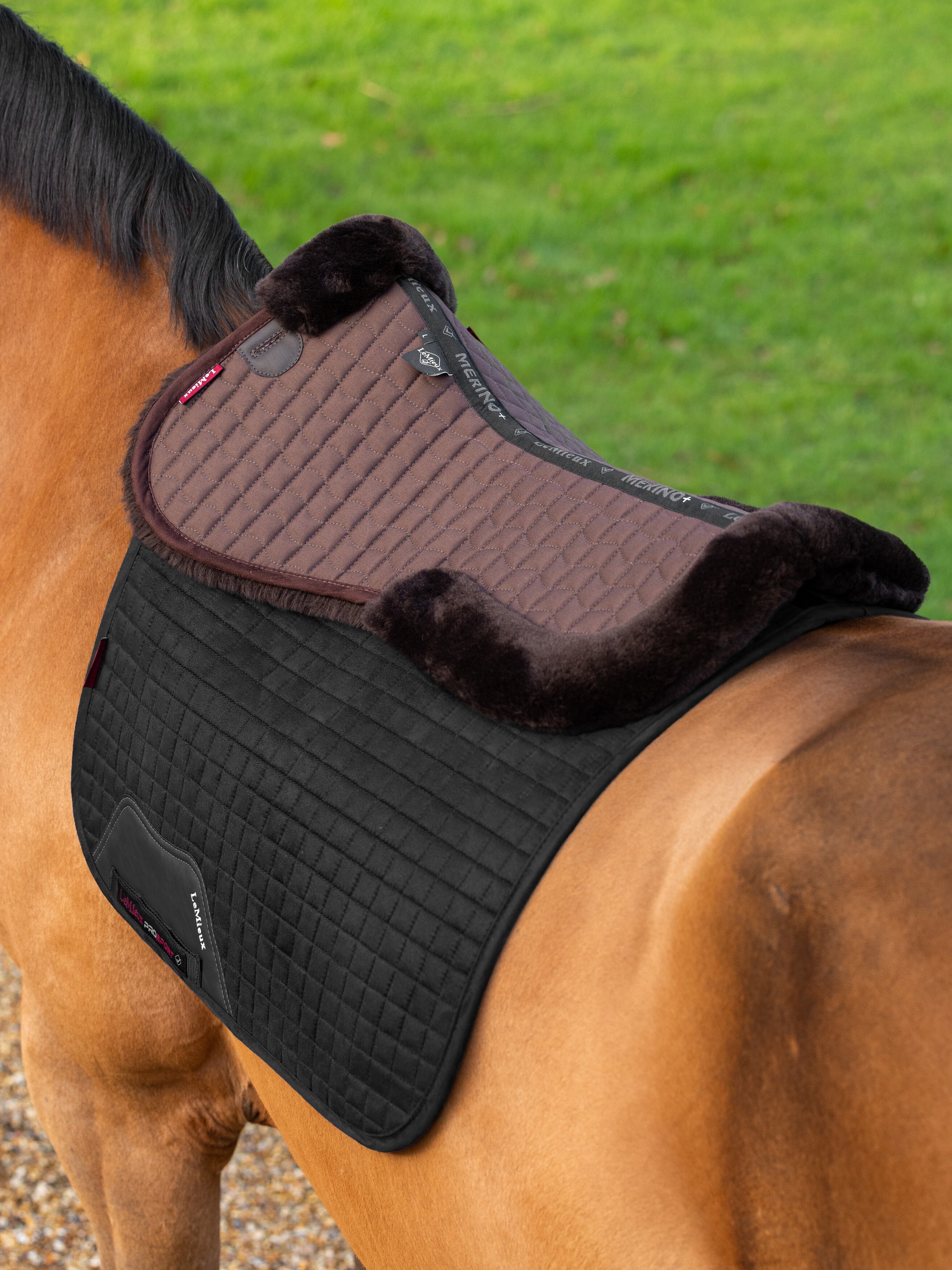 Merino+ Sattelpad