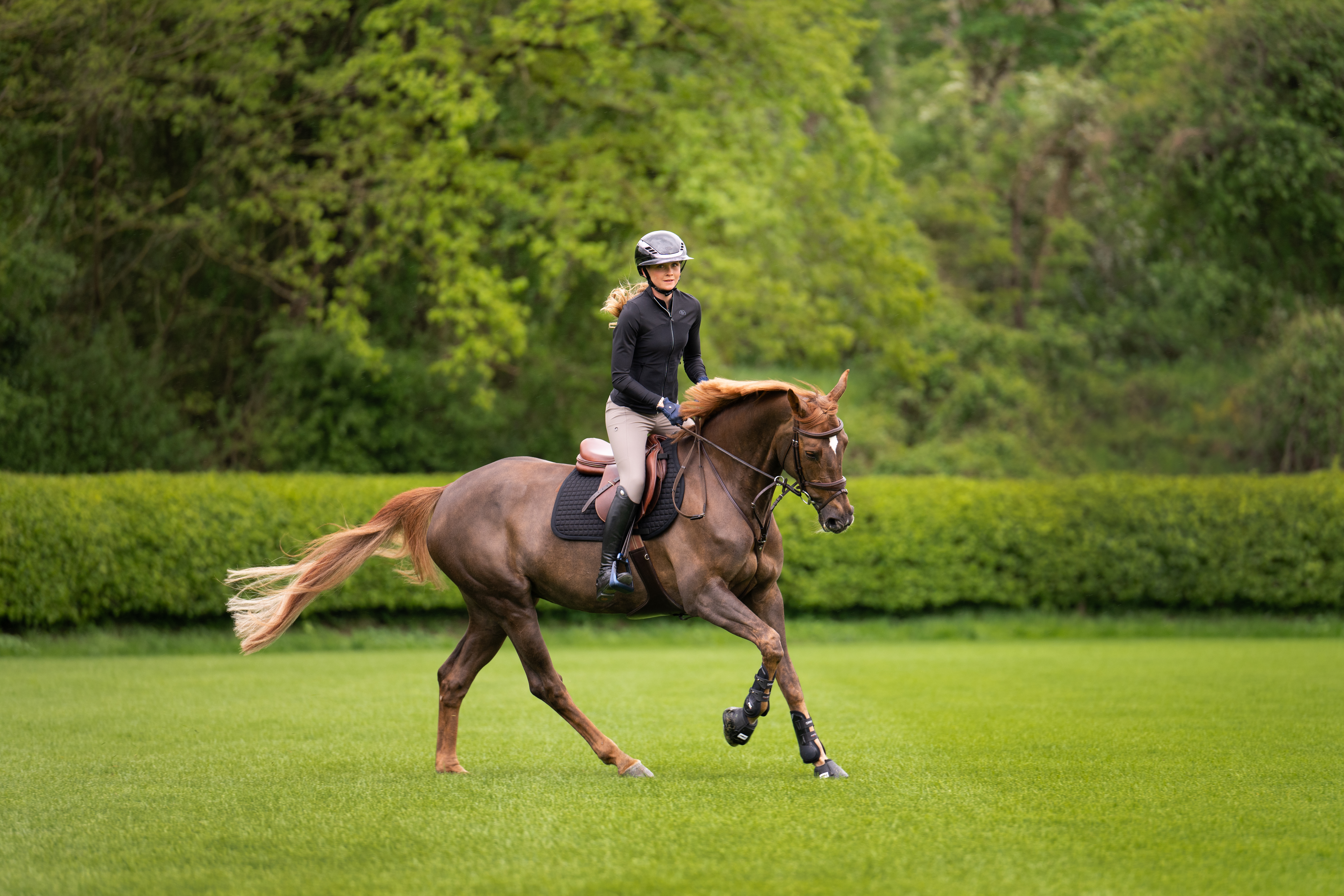 Riding breeches ladies Amia Sd Kn Riding breeches ladies Amia Sd Kn