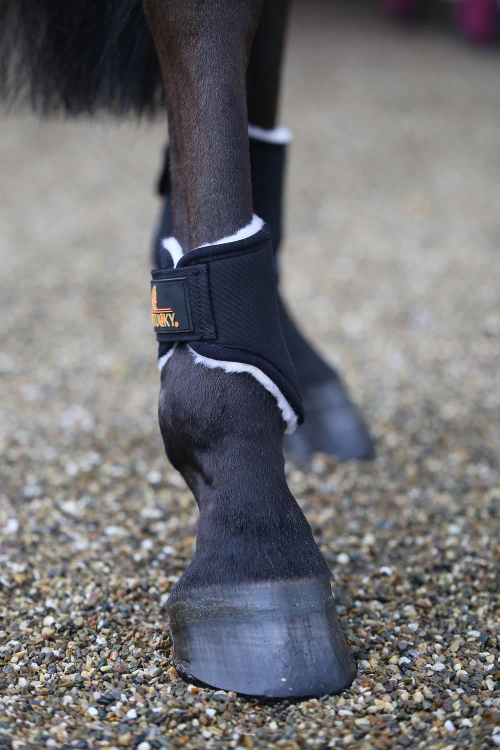 Solimbra back fetlock boot