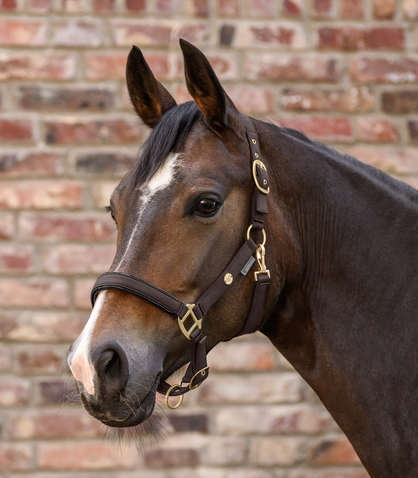 Set de licols Ubud
