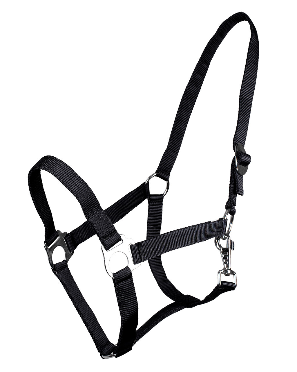 Halter with sliding buckle