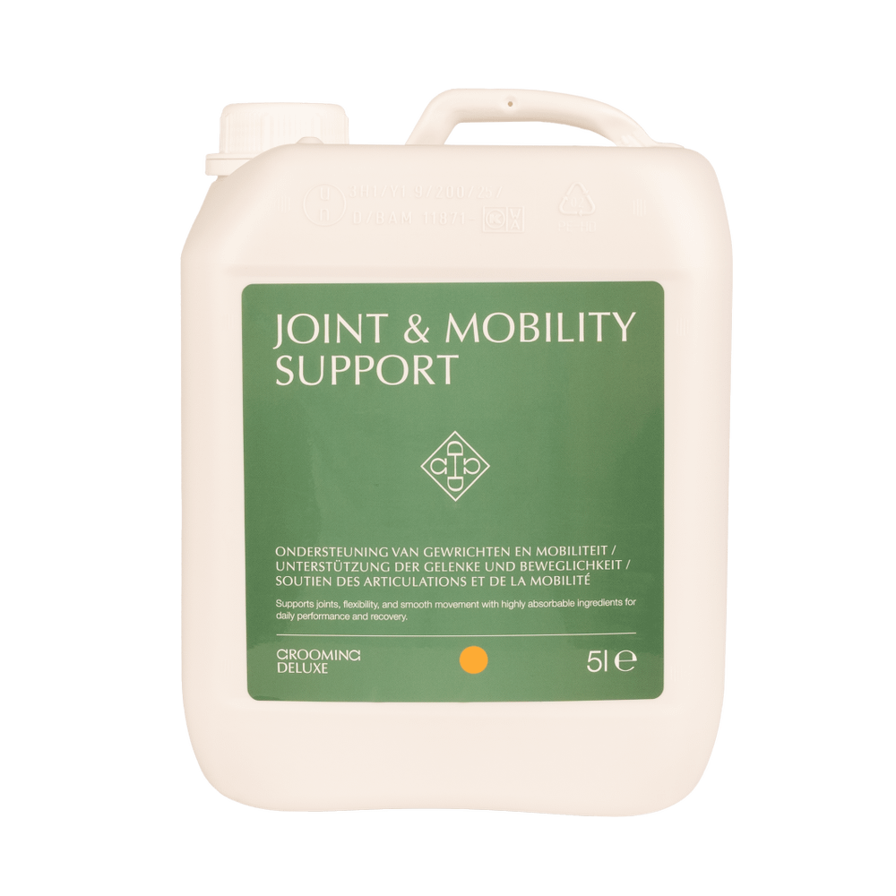 Joint and mobility support
