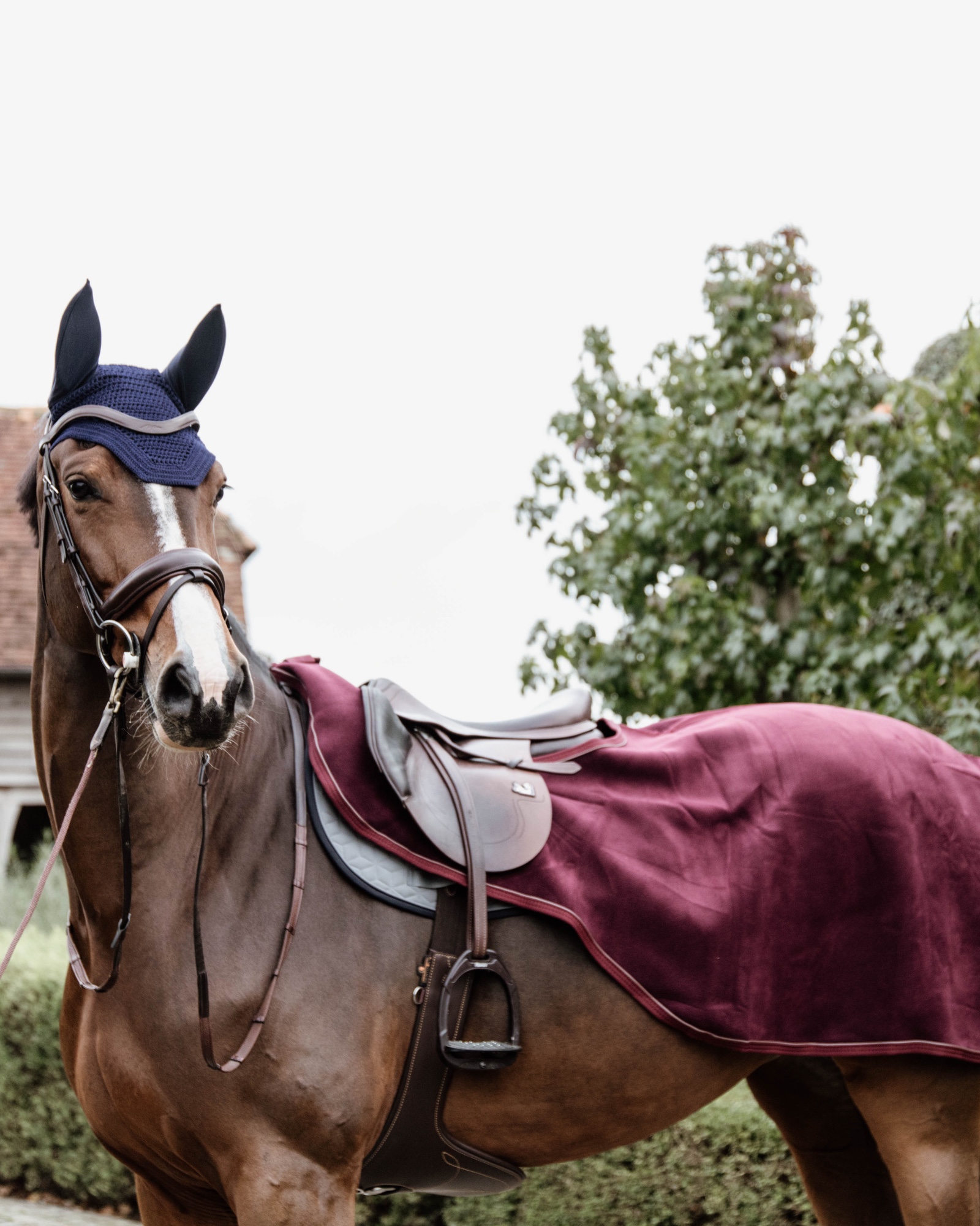 Riding rug heavy fleece