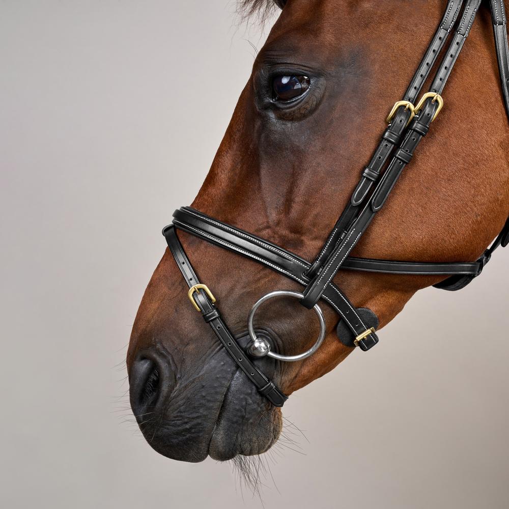 Difference Trense DY DY | Dy'on