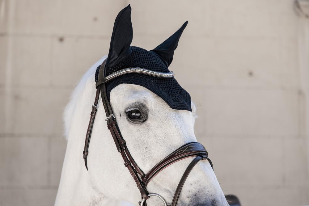 Fliegenhaube Wellington