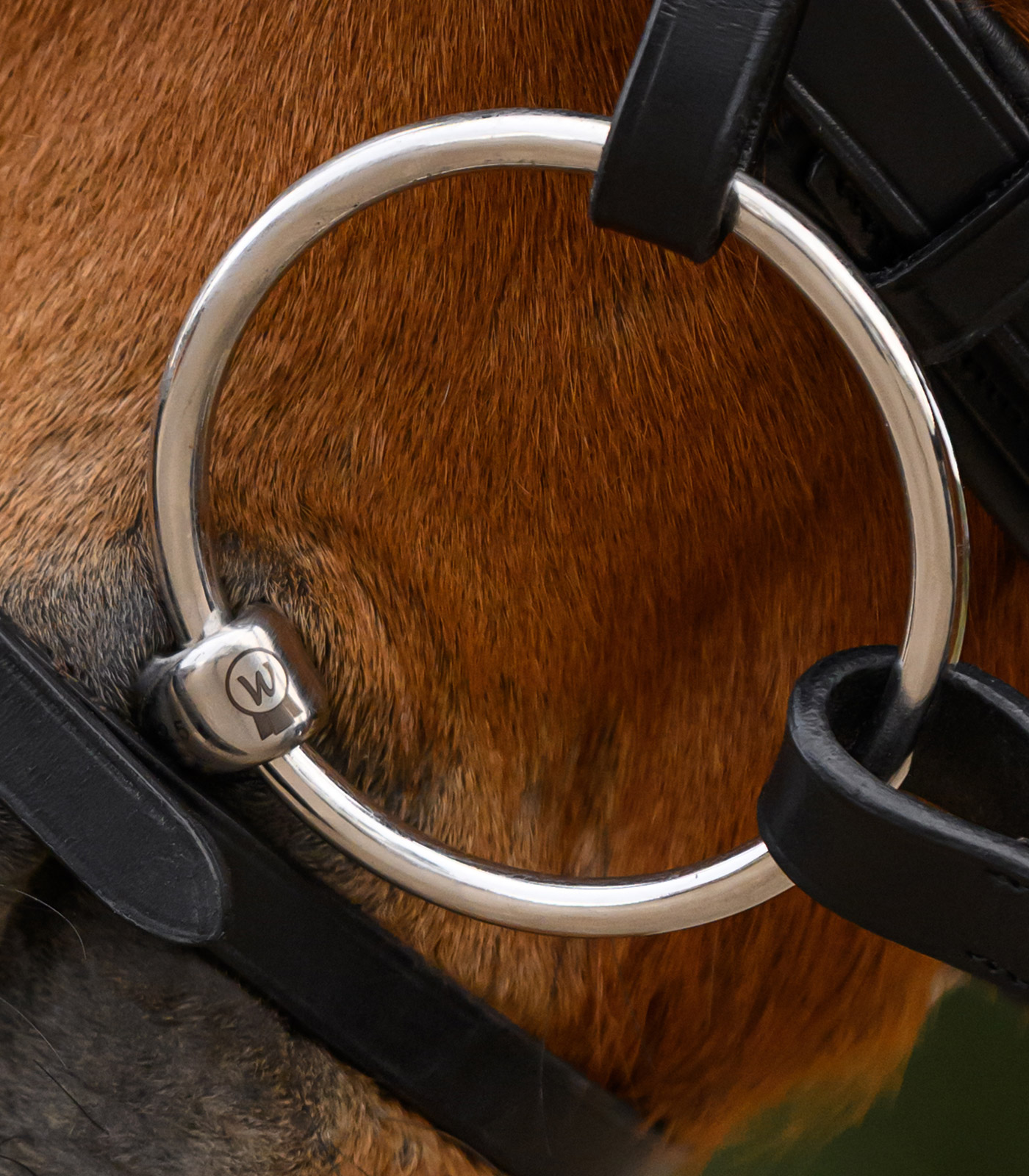 Mors de filet ergonomique, brisure double