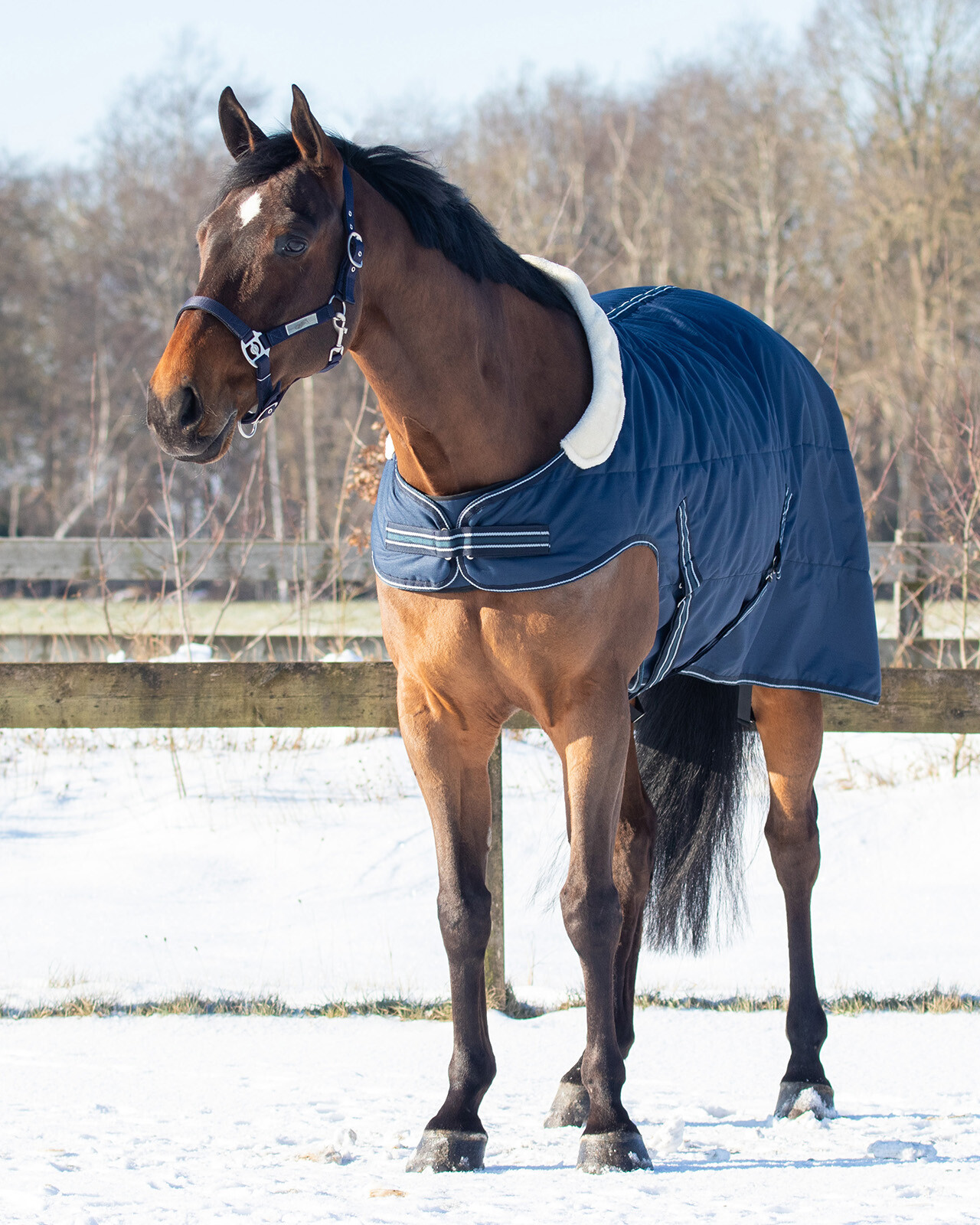 Stable rug 200gr with shoulder cut-out