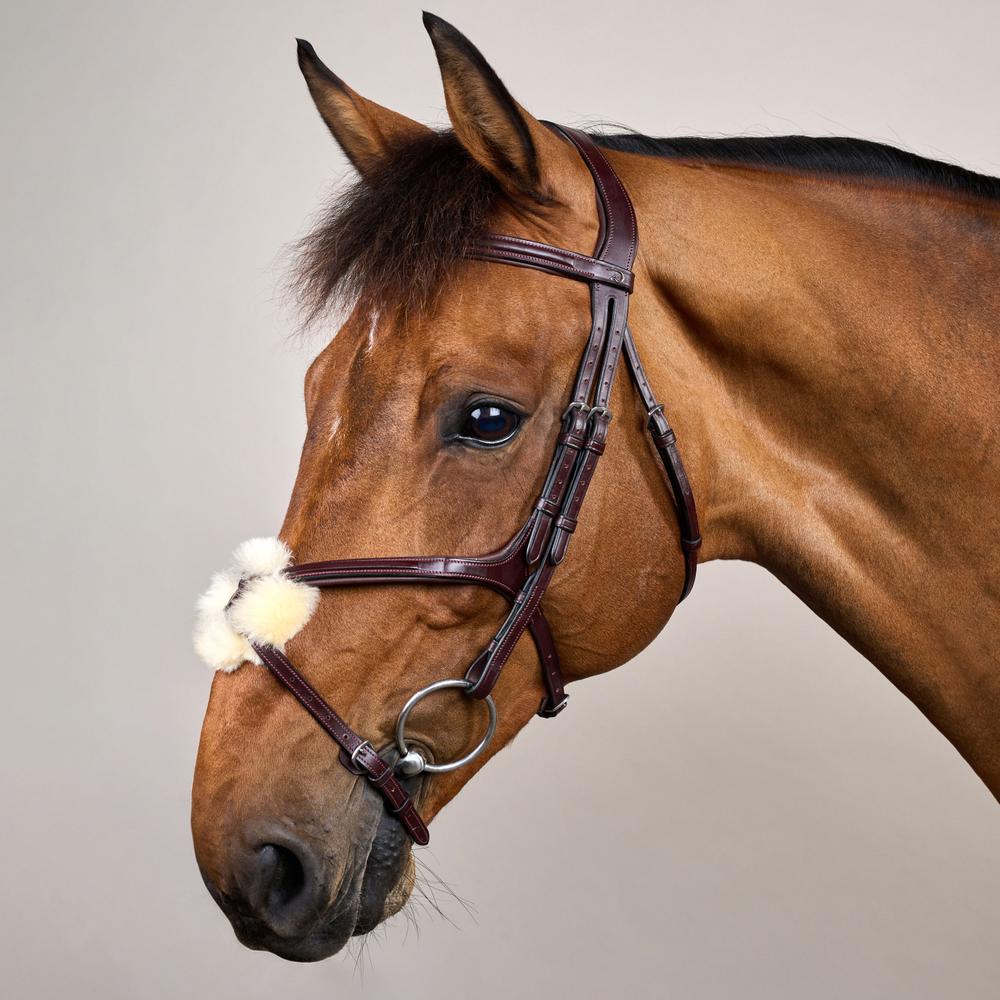 Trense mit mexikanischem Reithalfter NE