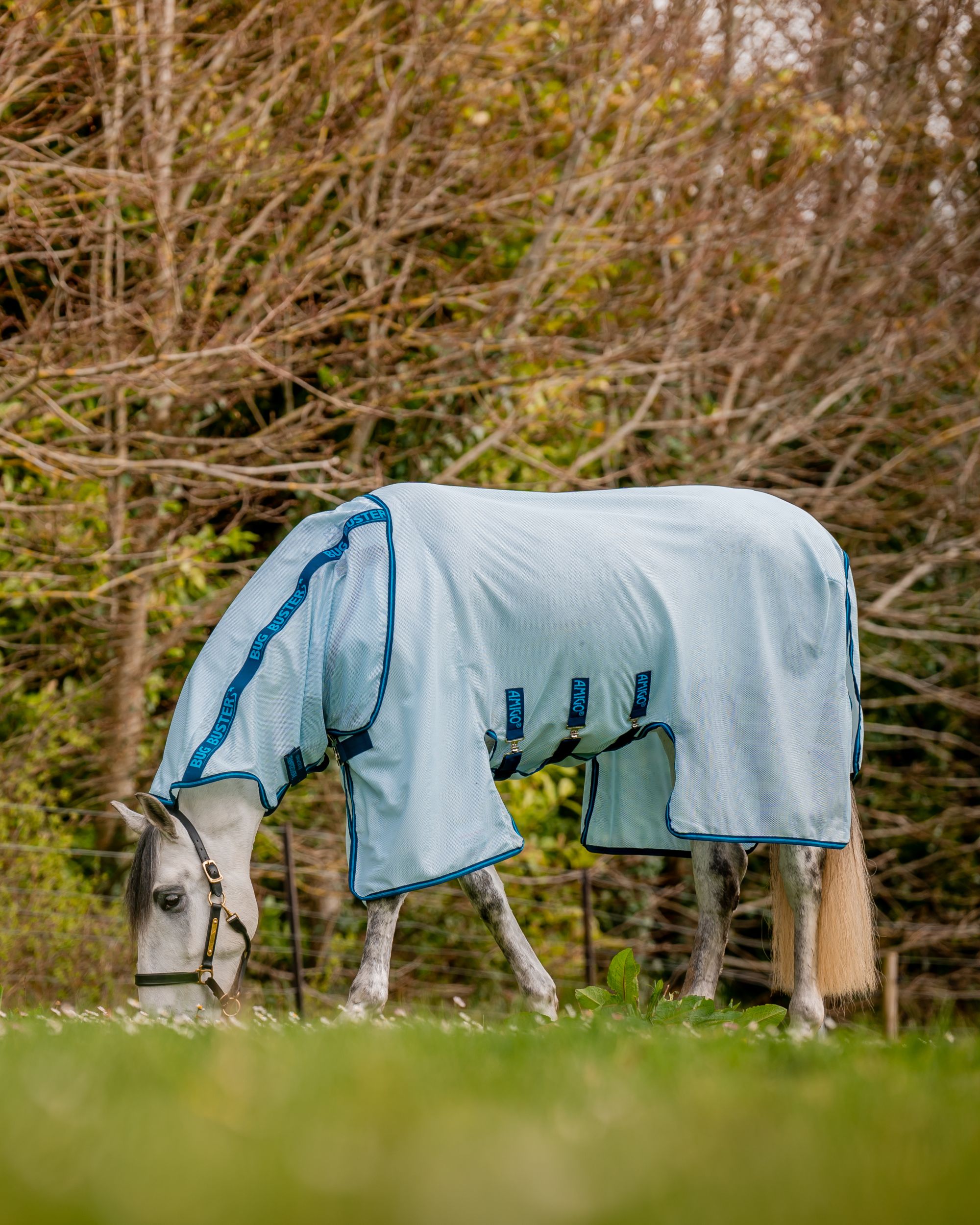 Fly rug Amigo Bug Buster in azure blue/navy