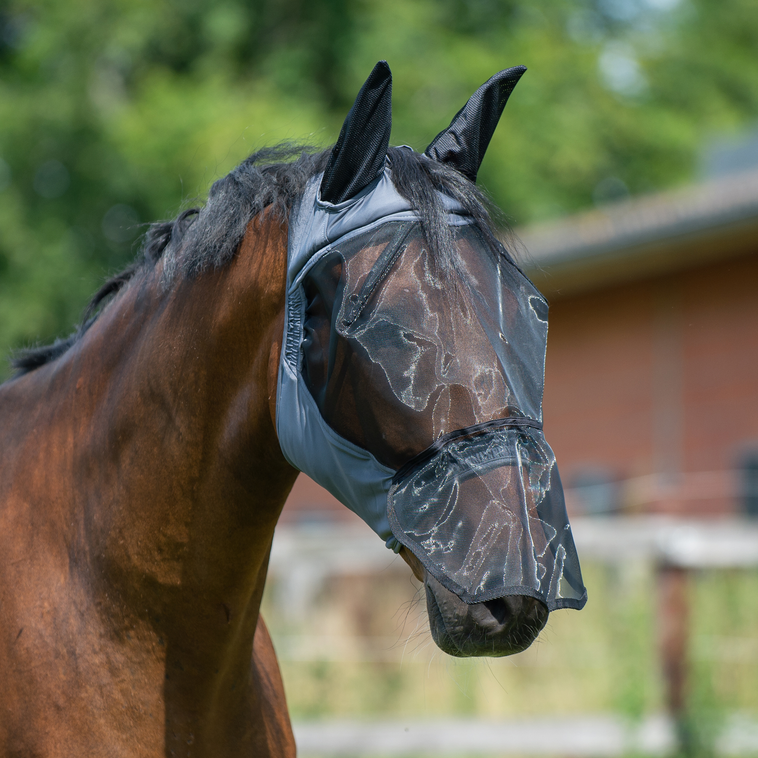 Masque anti-mouches Fly Buckler Gap Plus