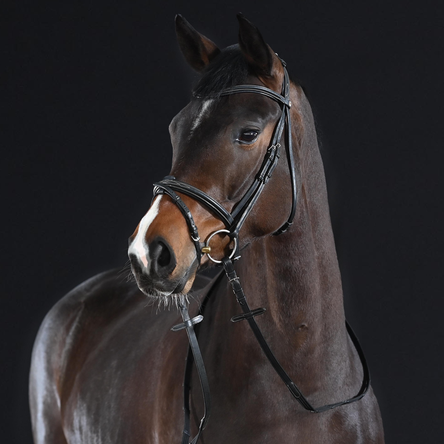 Snaffle Take-Off Line AD | black | Cob | 4026107704593