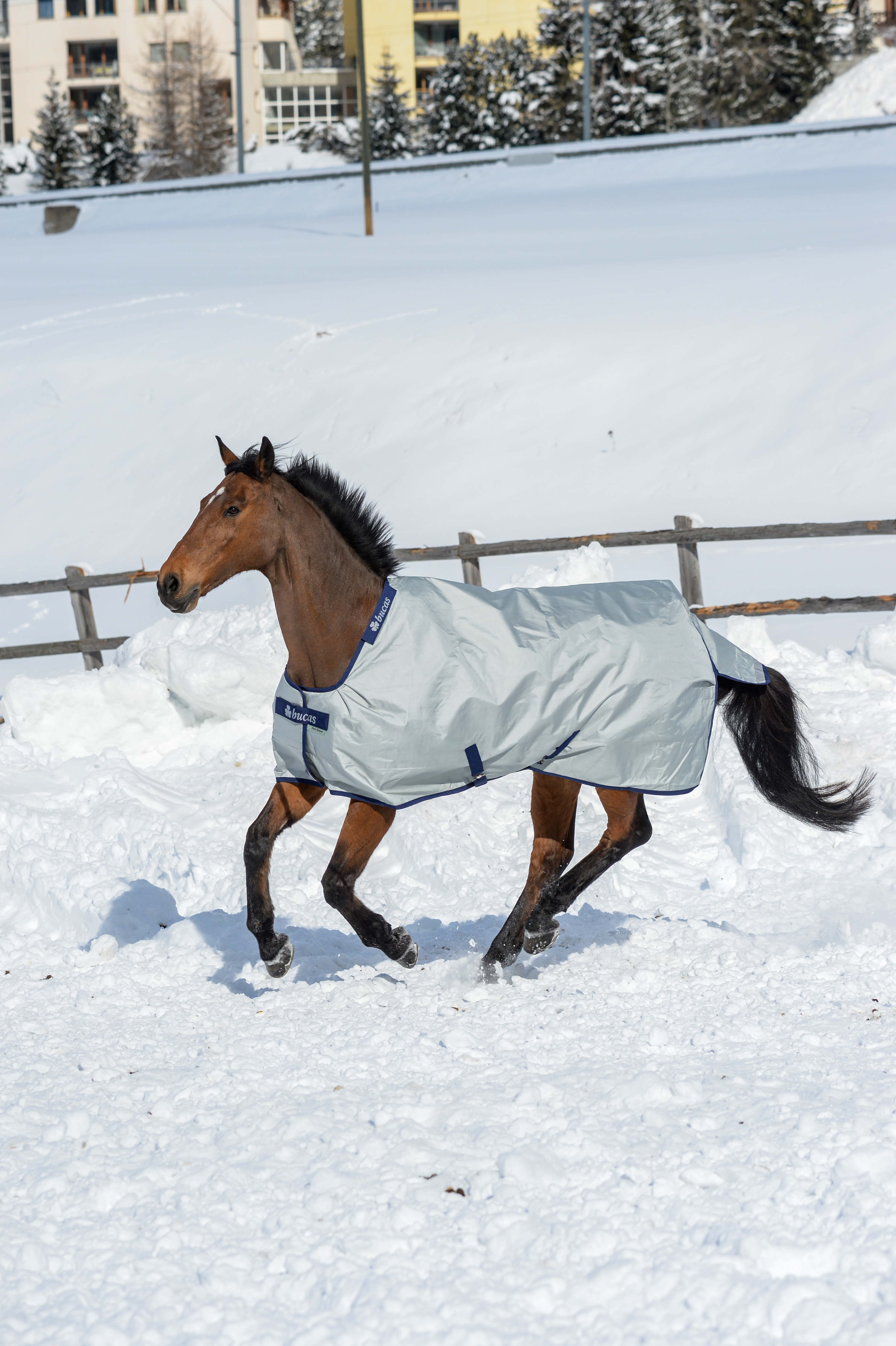 Outdoor rug Power Turnout Extra 300g in Silver