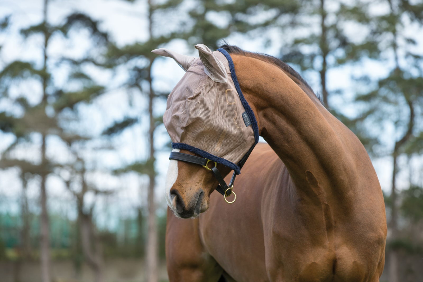 Fly mask Amigo FlyMask