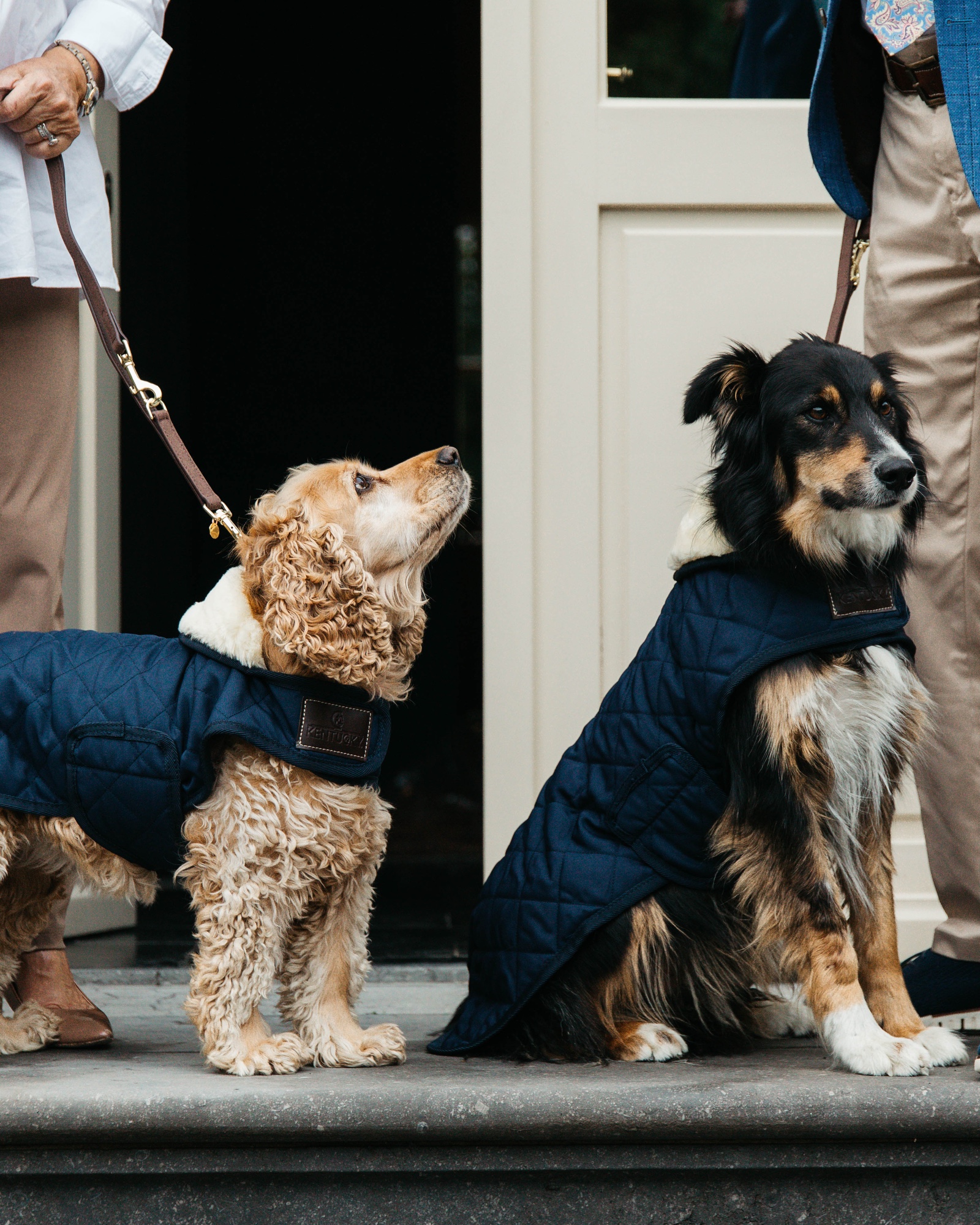 Original dog coat
