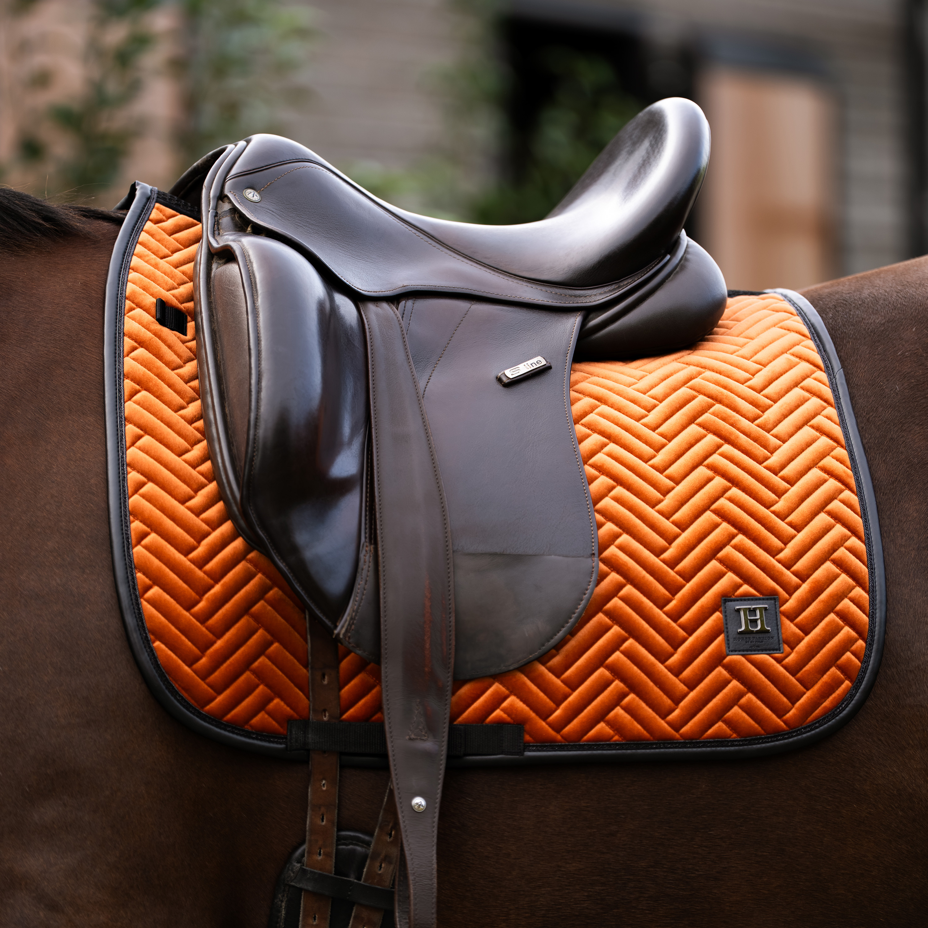 Schabracke Luxury DR