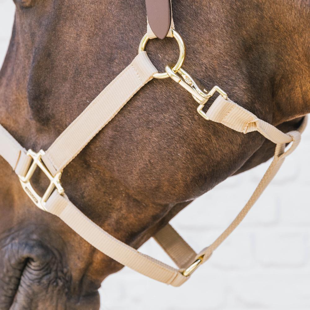 Nylon Halfter Breakaway