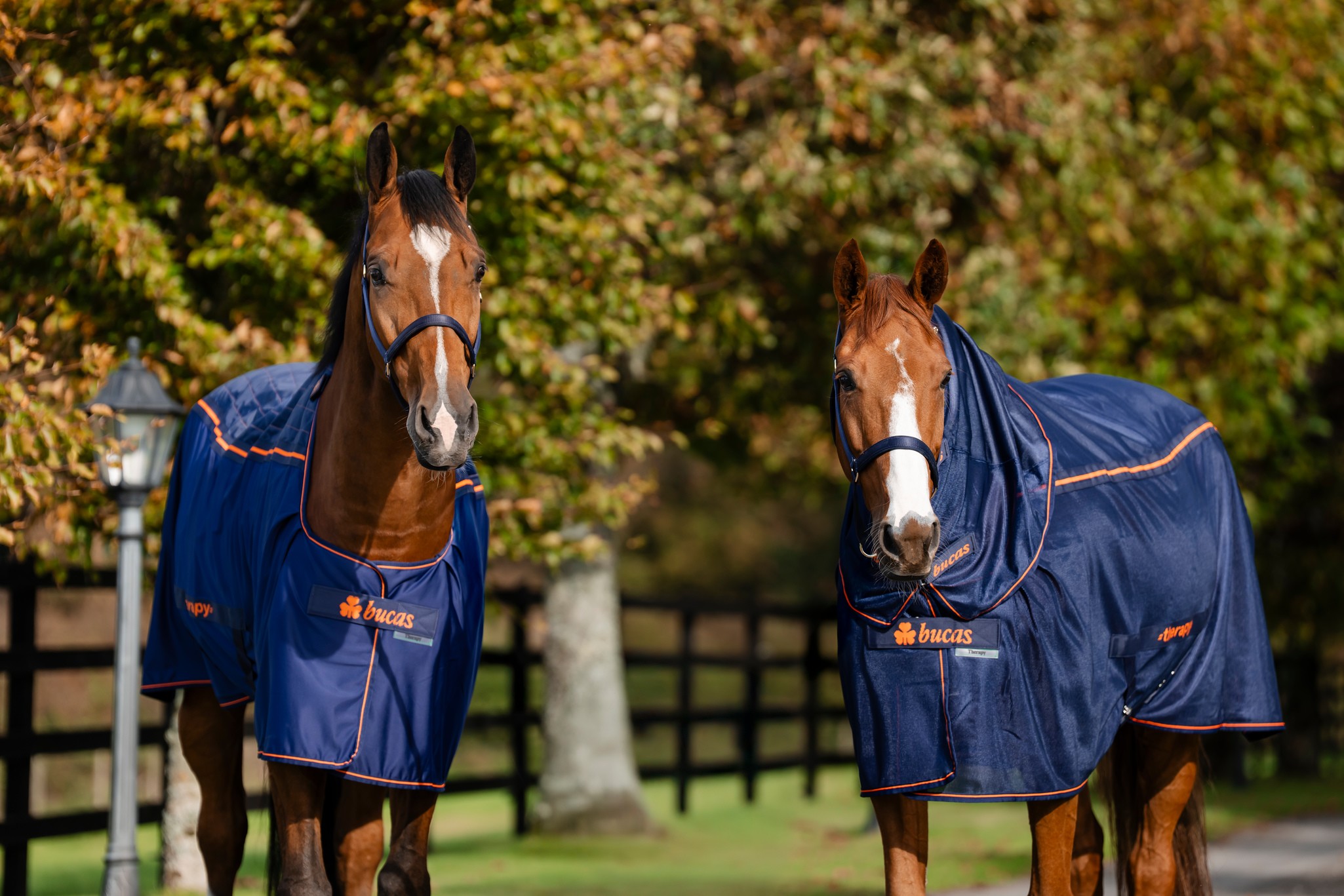Abschwitzdecke Therapy Mesh Cooler in Navy/Orange