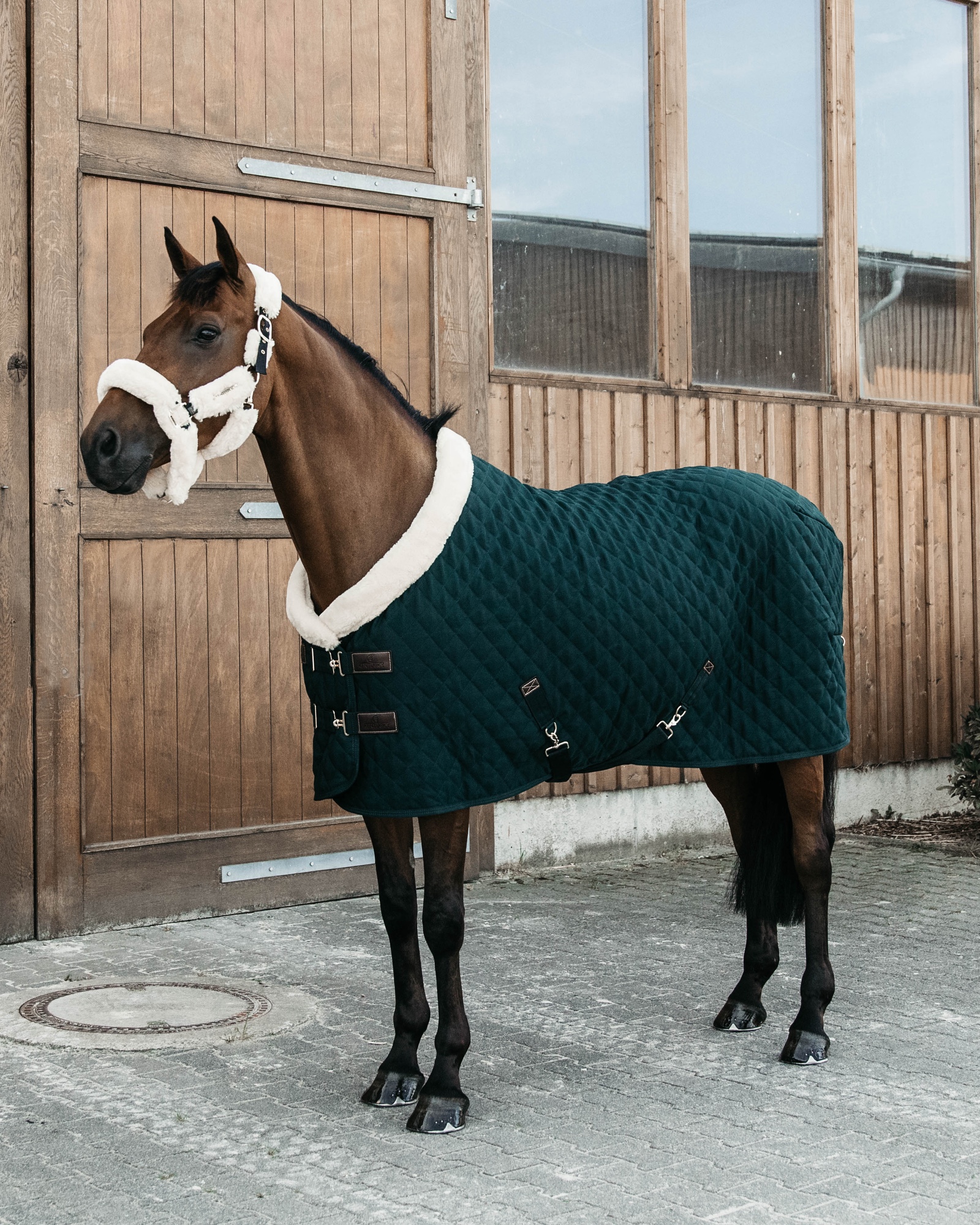 Show rug Show Rug 160g