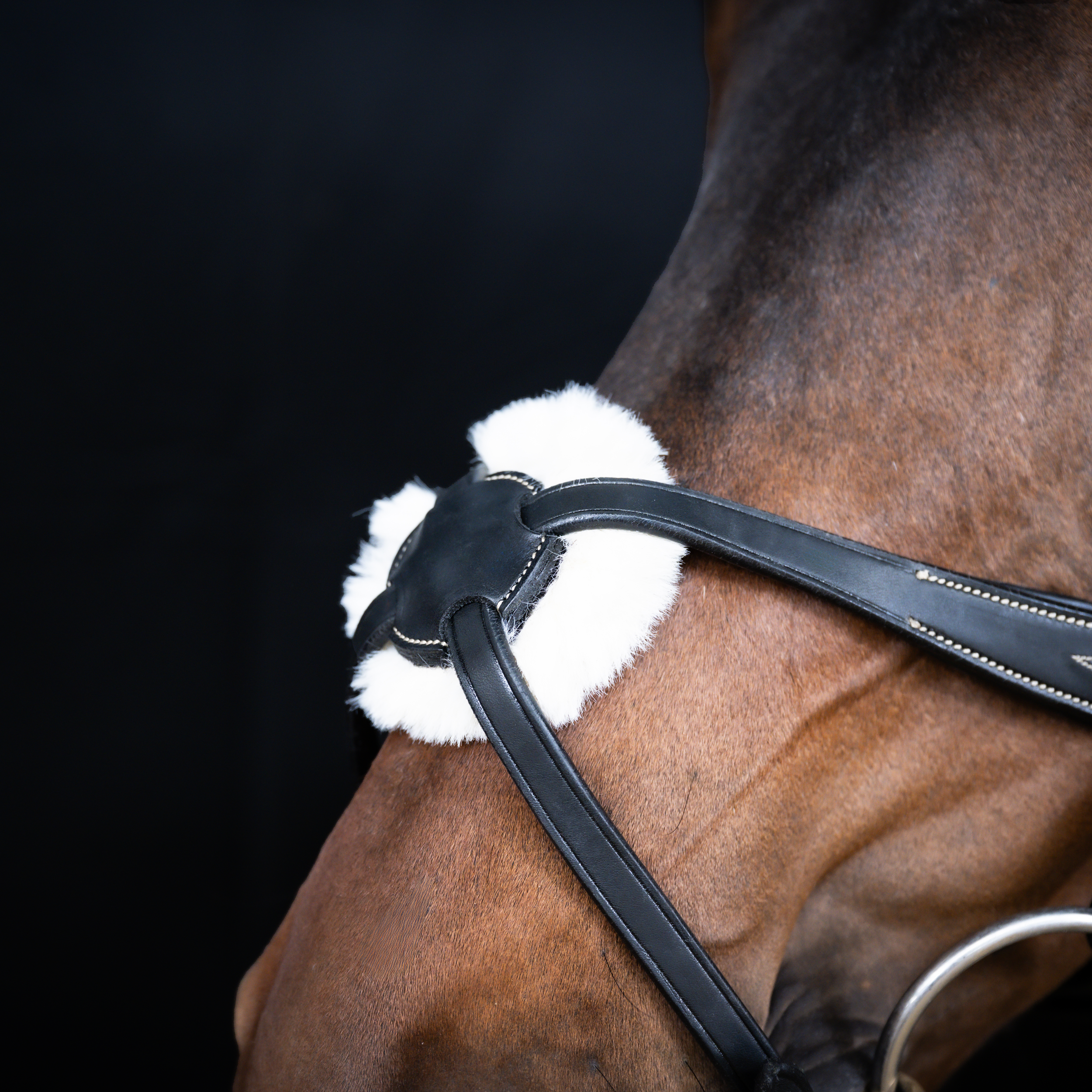 Snaffle Take-Off Line AD