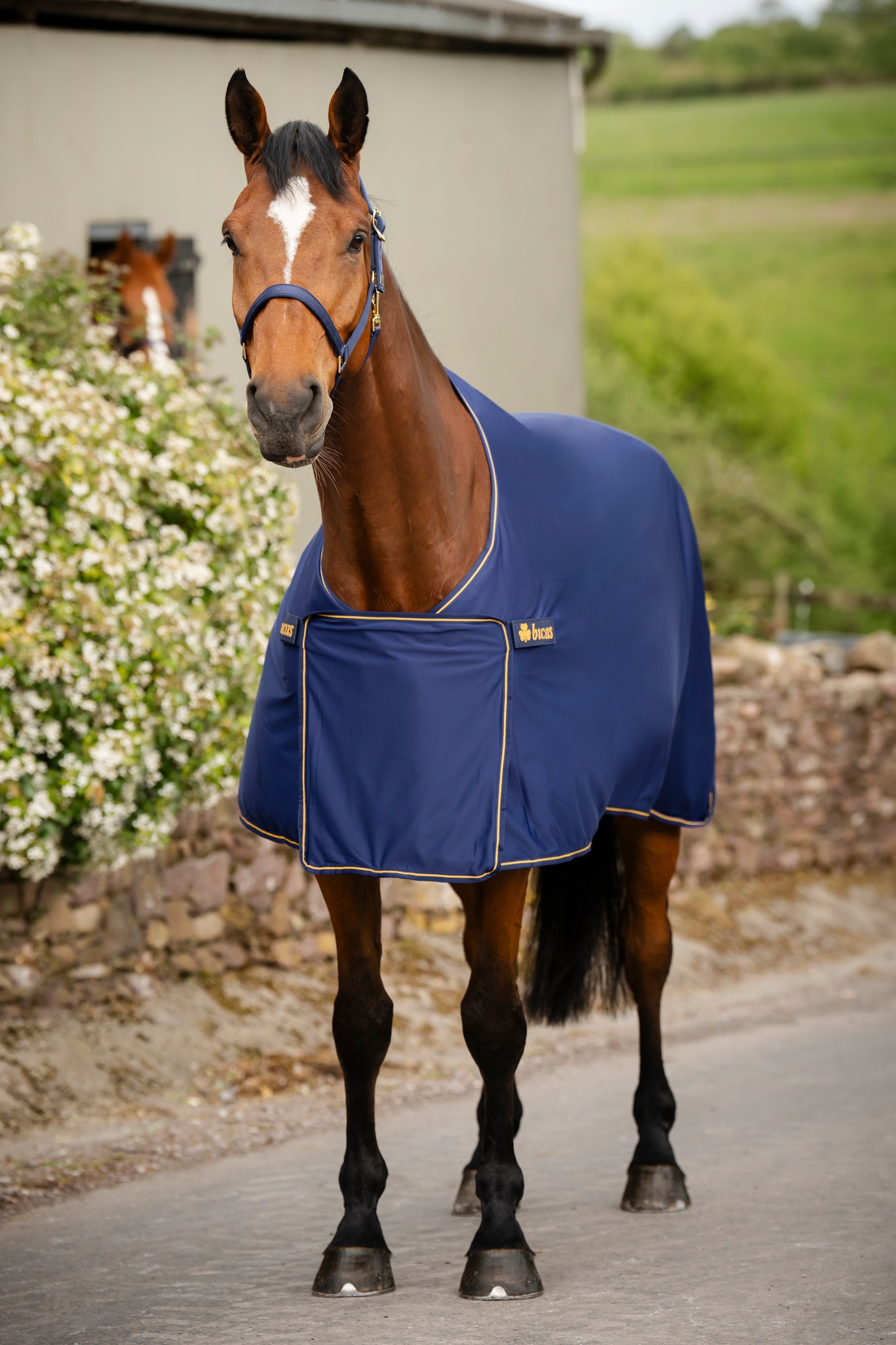 Abschwitzdecke Panel Prize Cooler in Navy/Gold
