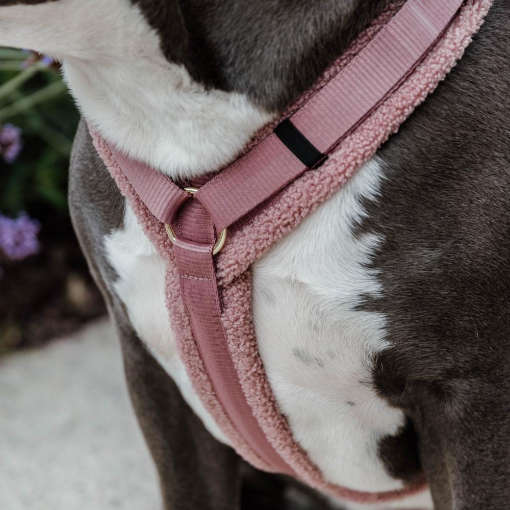 Hundegeschirr Aktiv Teddy Fleece | Kentucky Dogwear